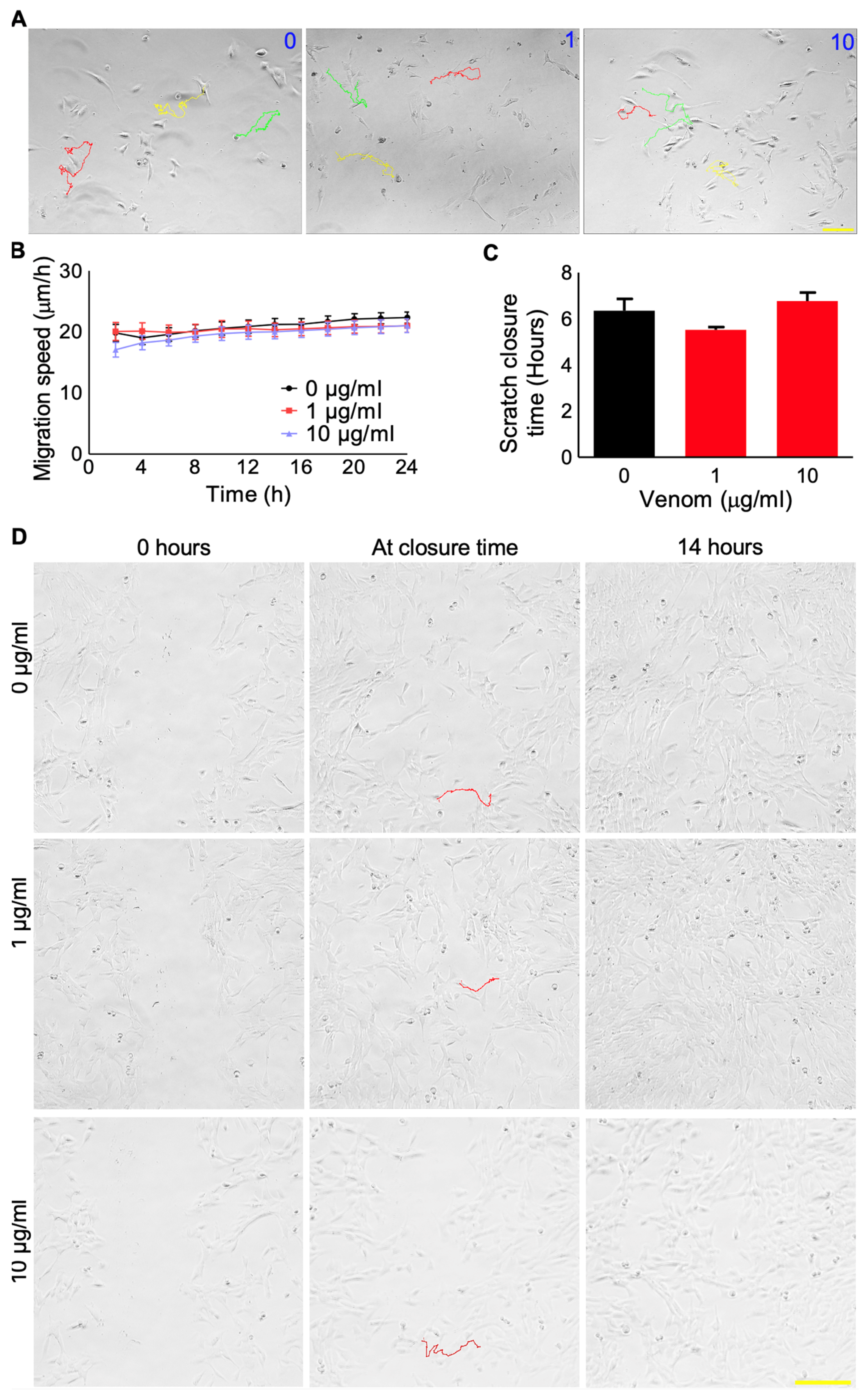 Cells 12 02074 g002 Cells 12 02074 g002