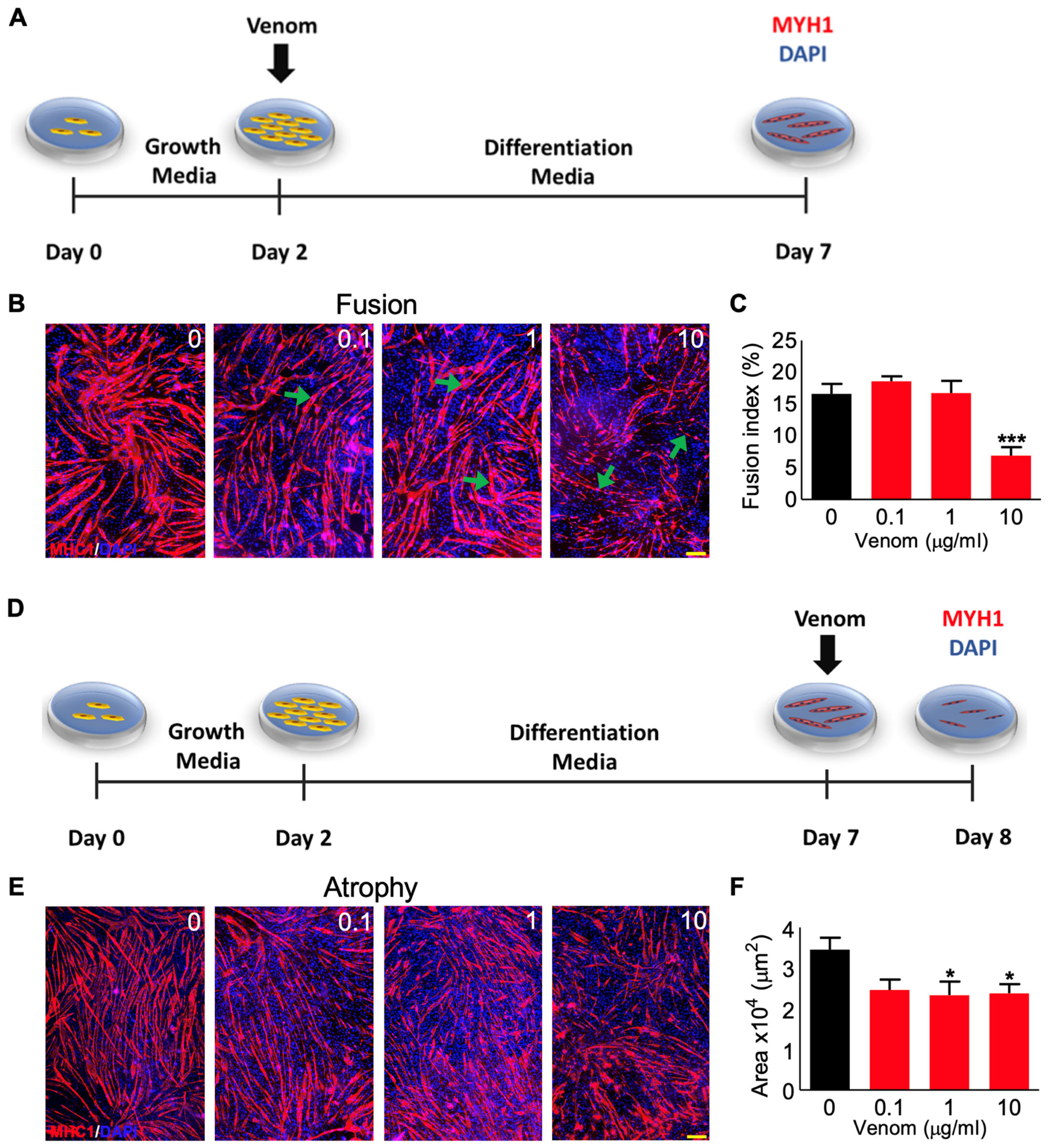 Cells 12 02074 g003 Cells 12 02074 g003