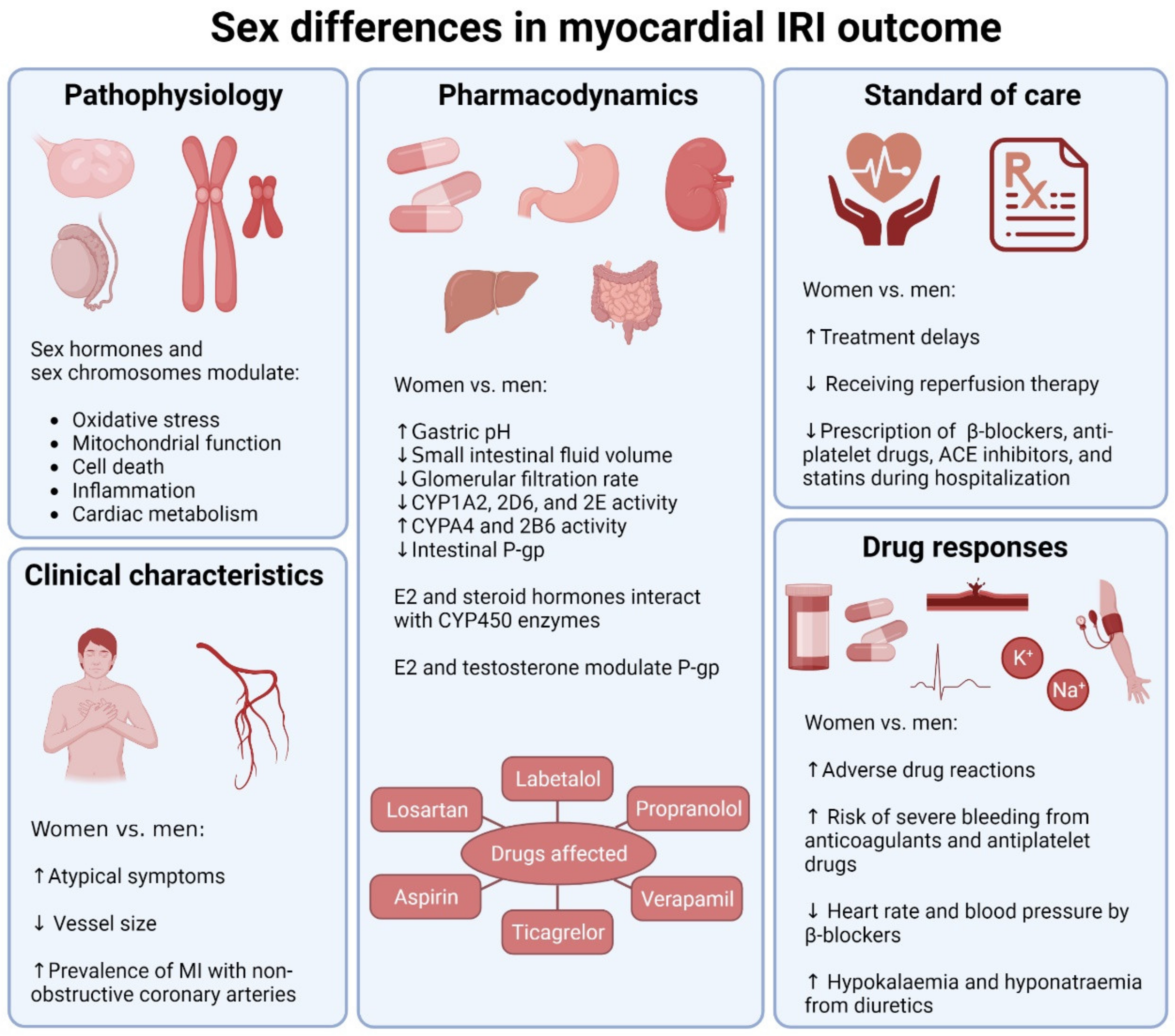 Cells Free Full-Text Sex Differences in Therapies against Myocardial Ischemia-Reperfusion Injury From Basic Science to Clinical Perspectives