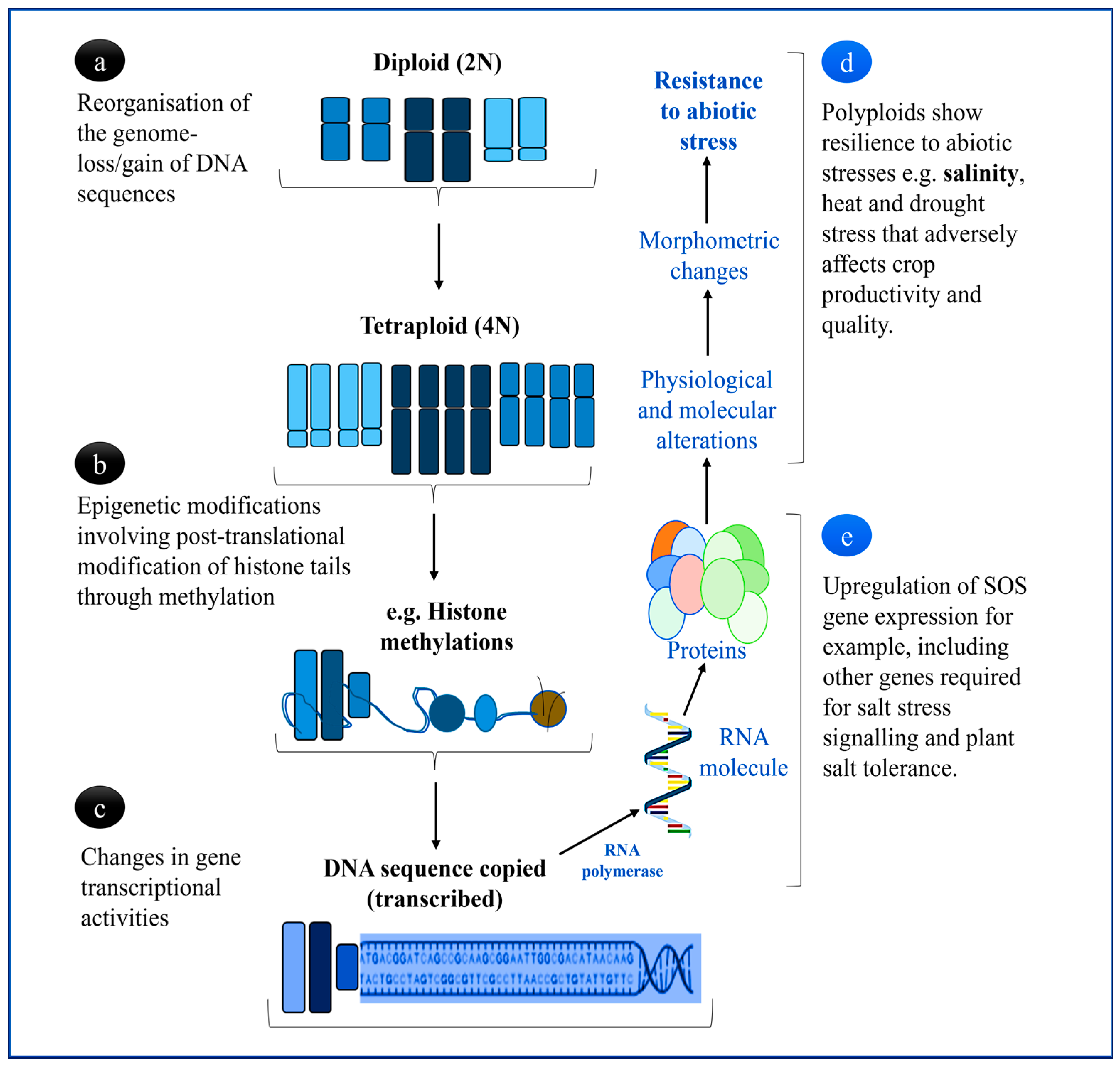 Cells 12 02082 g002 Cells 12 02082 g002