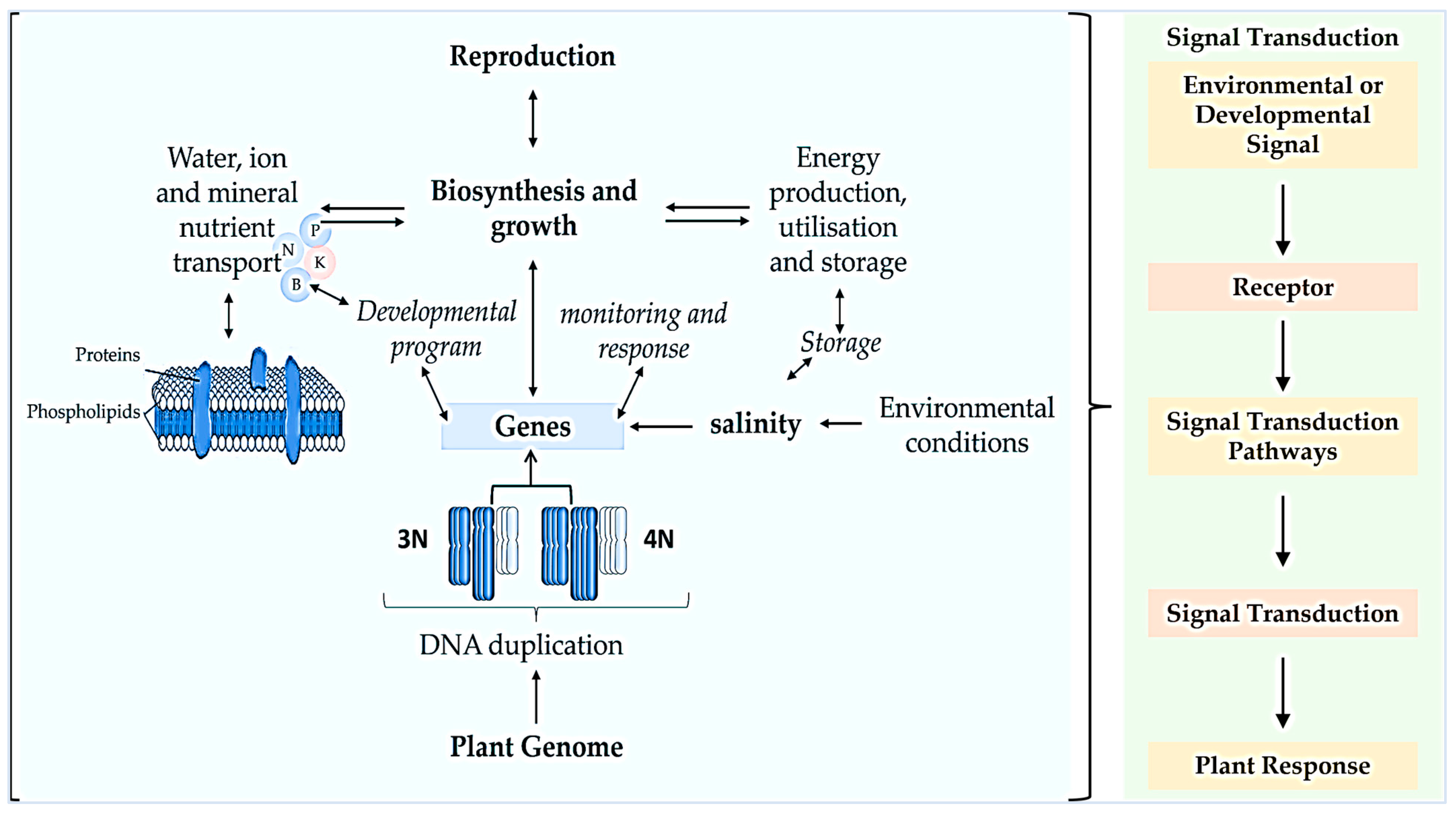 Cells 12 02082 g003 Cells 12 02082 g003