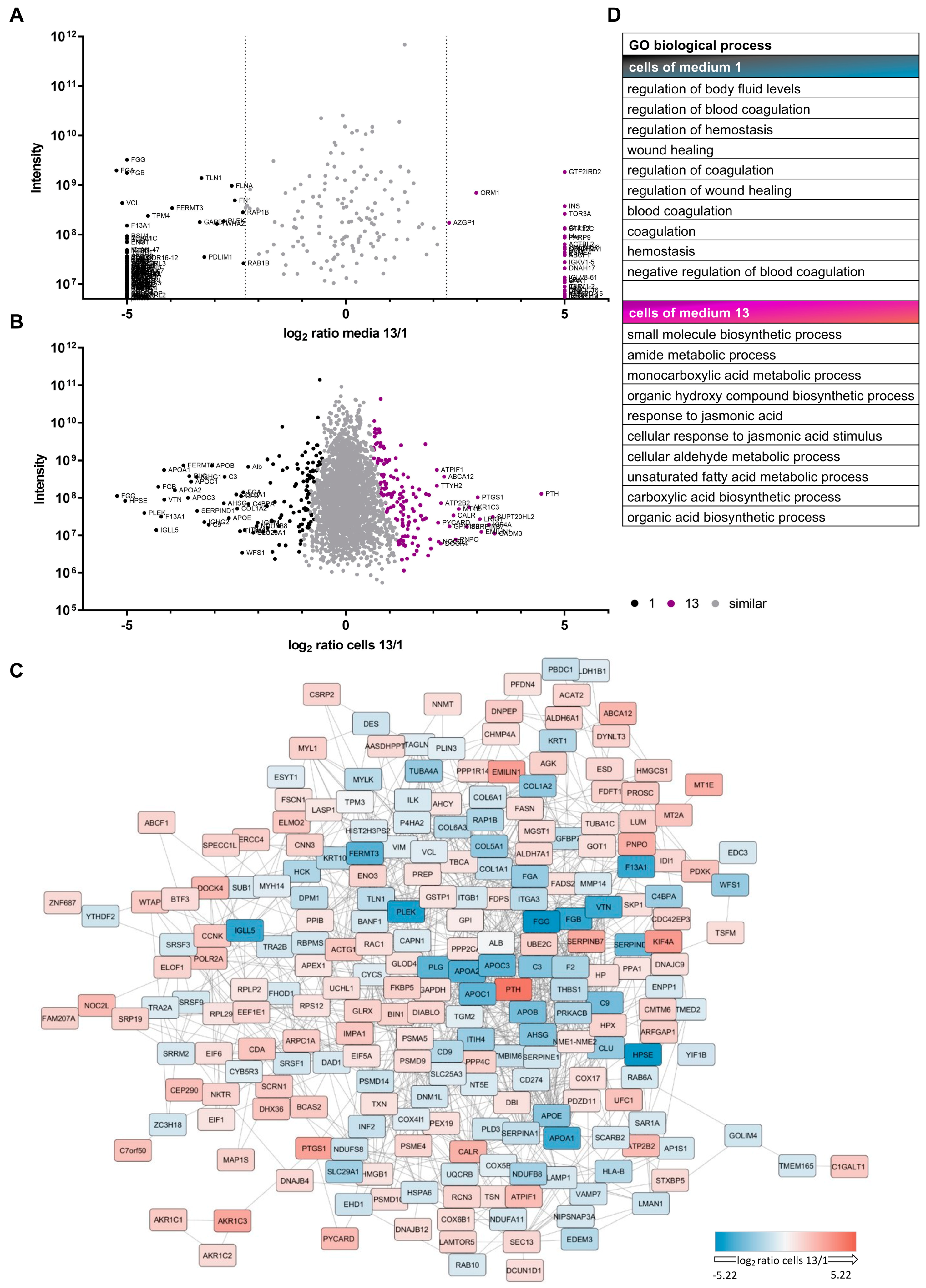 Cells 12 02105 g003 Cells 12 02105 g003