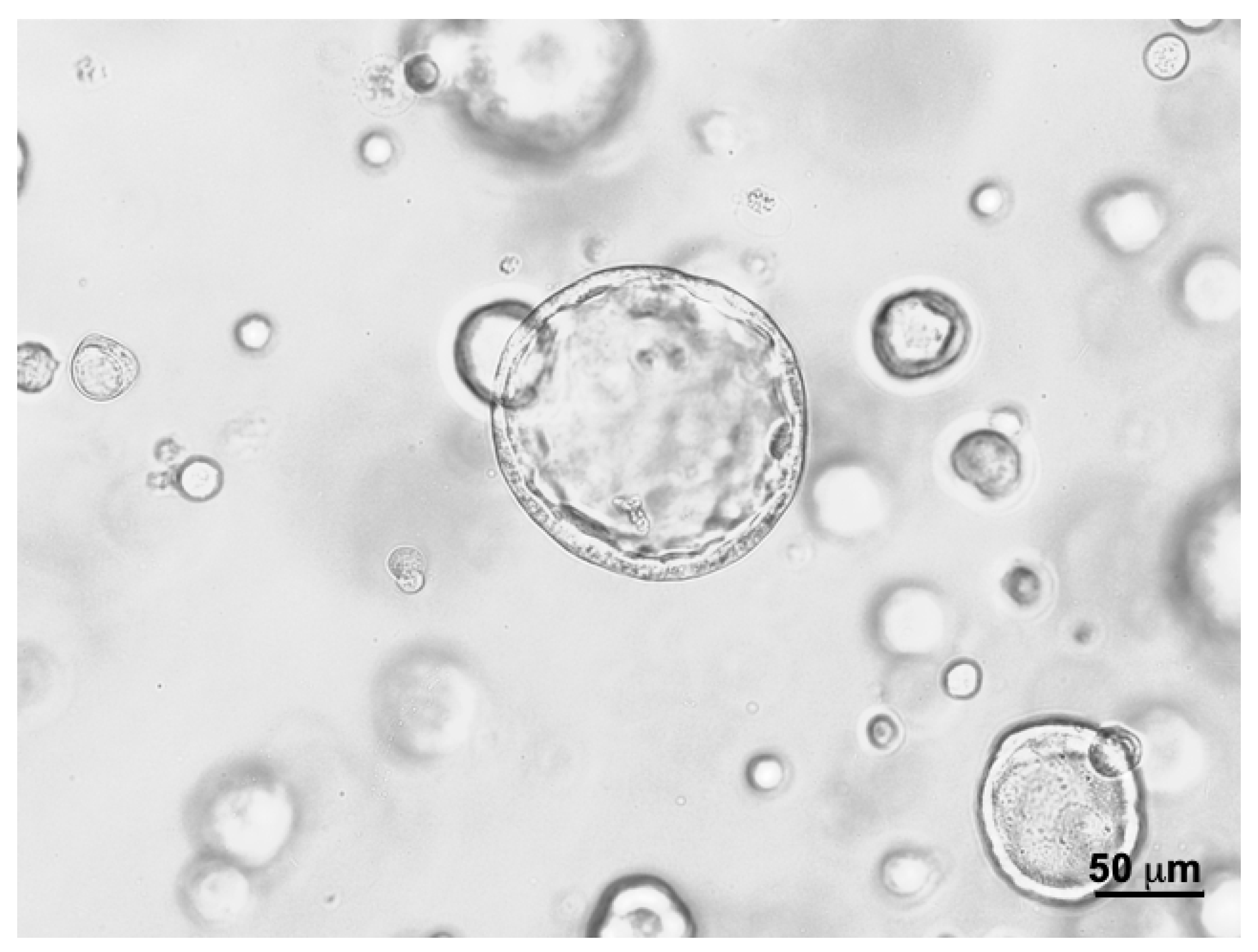 Cells 12 02108 g006