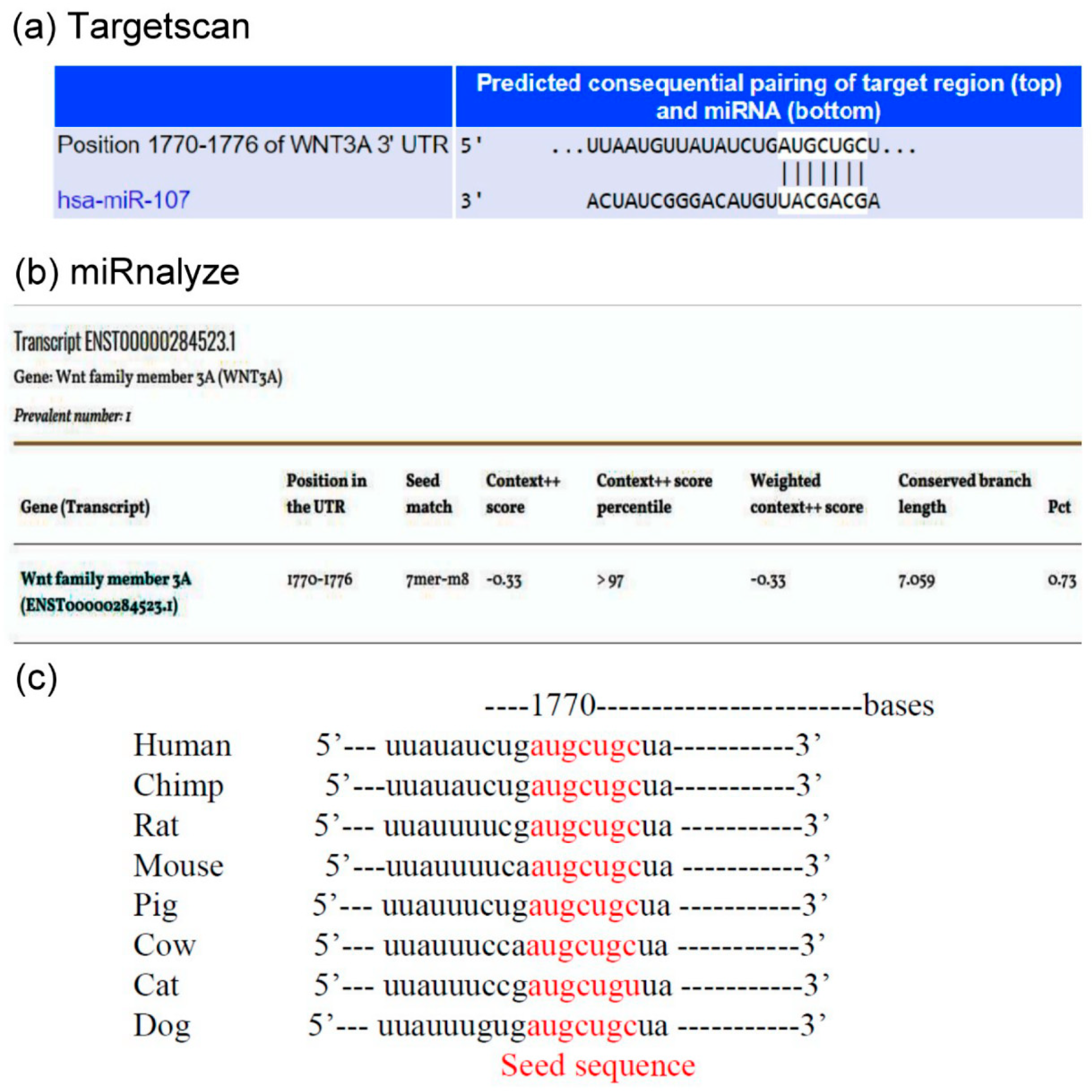 Cells 12 02111 g002 Cells 12 02111 g002