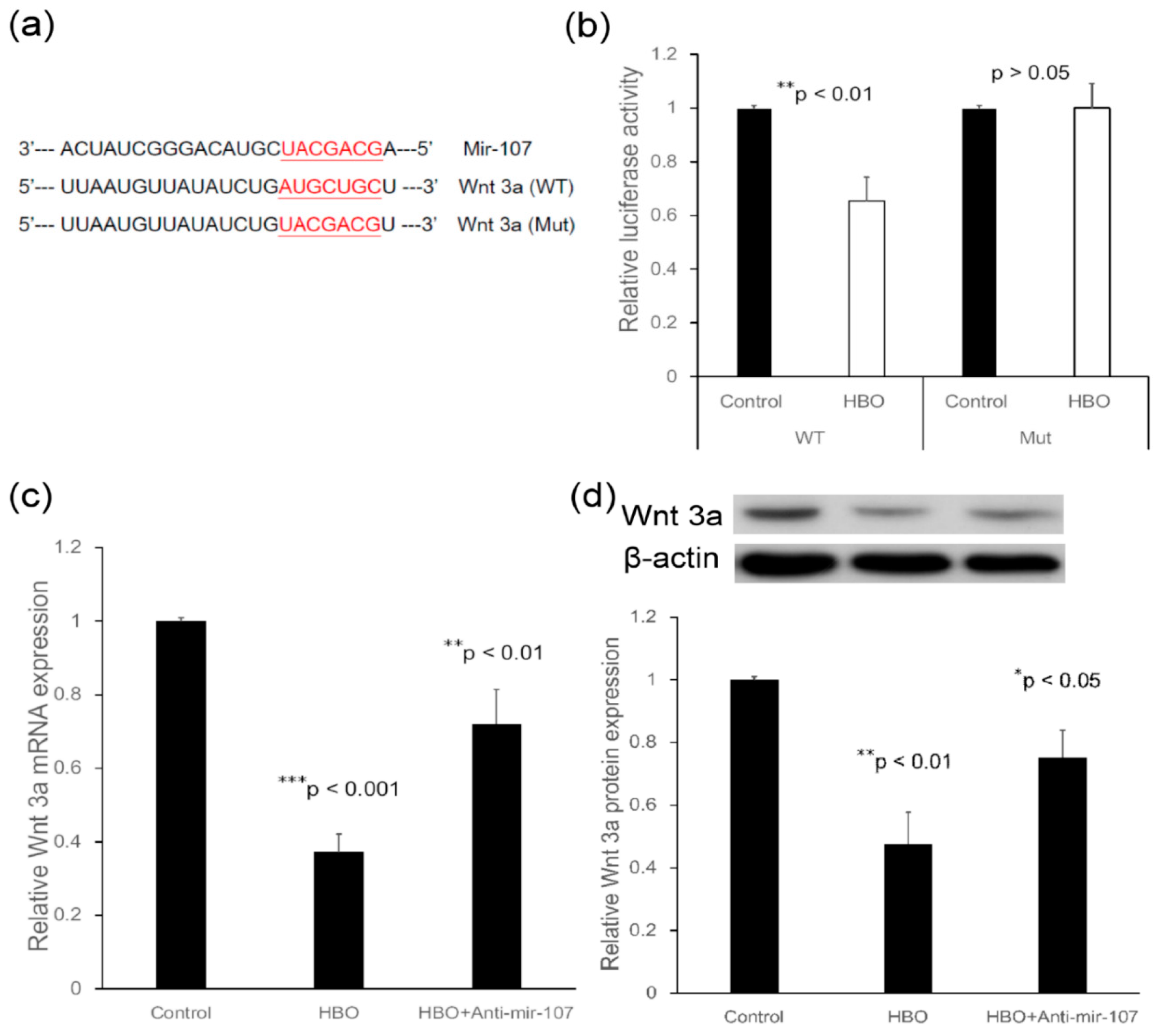 Cells 12 02111 g003 Cells 12 02111 g003