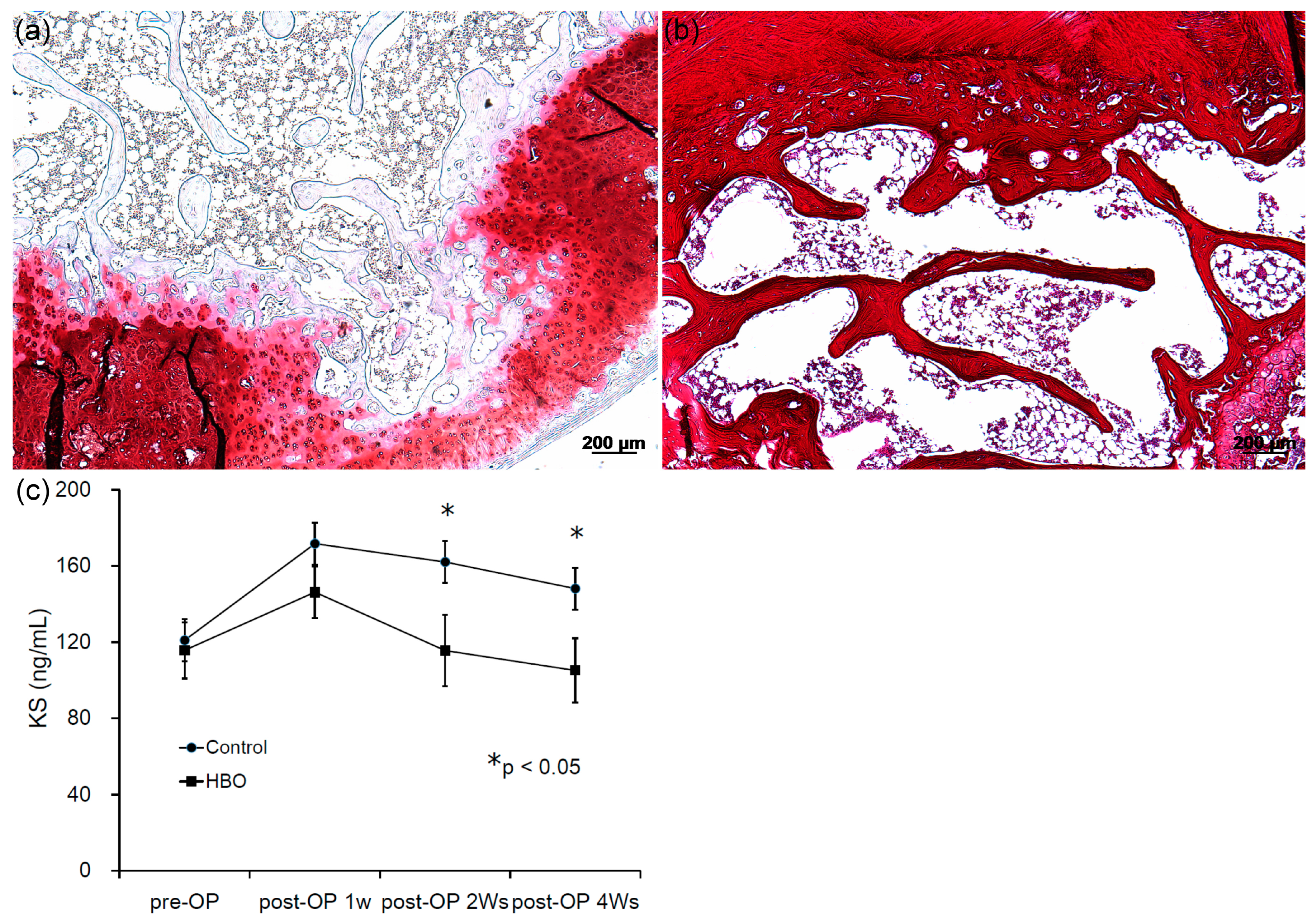 Cells 12 02111 g008 Cells 12 02111 g008