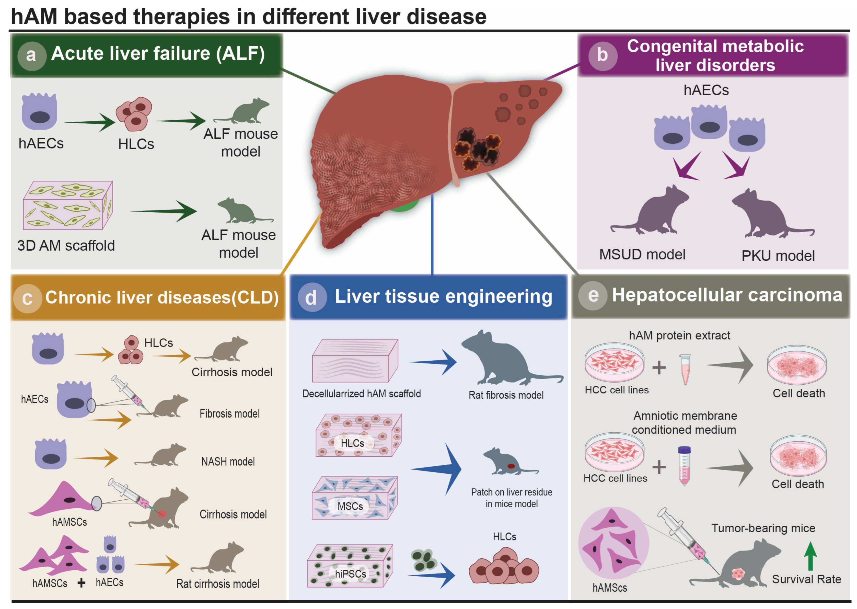 Cells 12 02114 g003 Cells 12 02114 g003