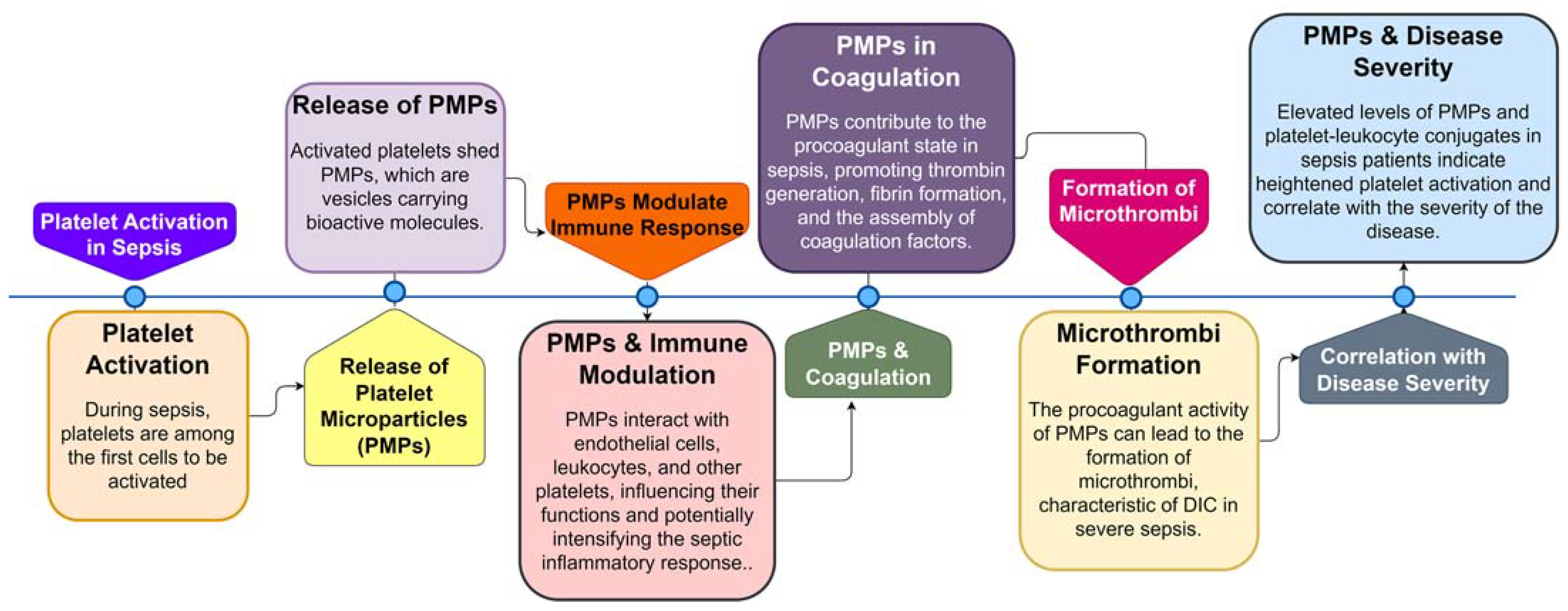 Cells 12 02120 g003 Cells 12 02120 g003