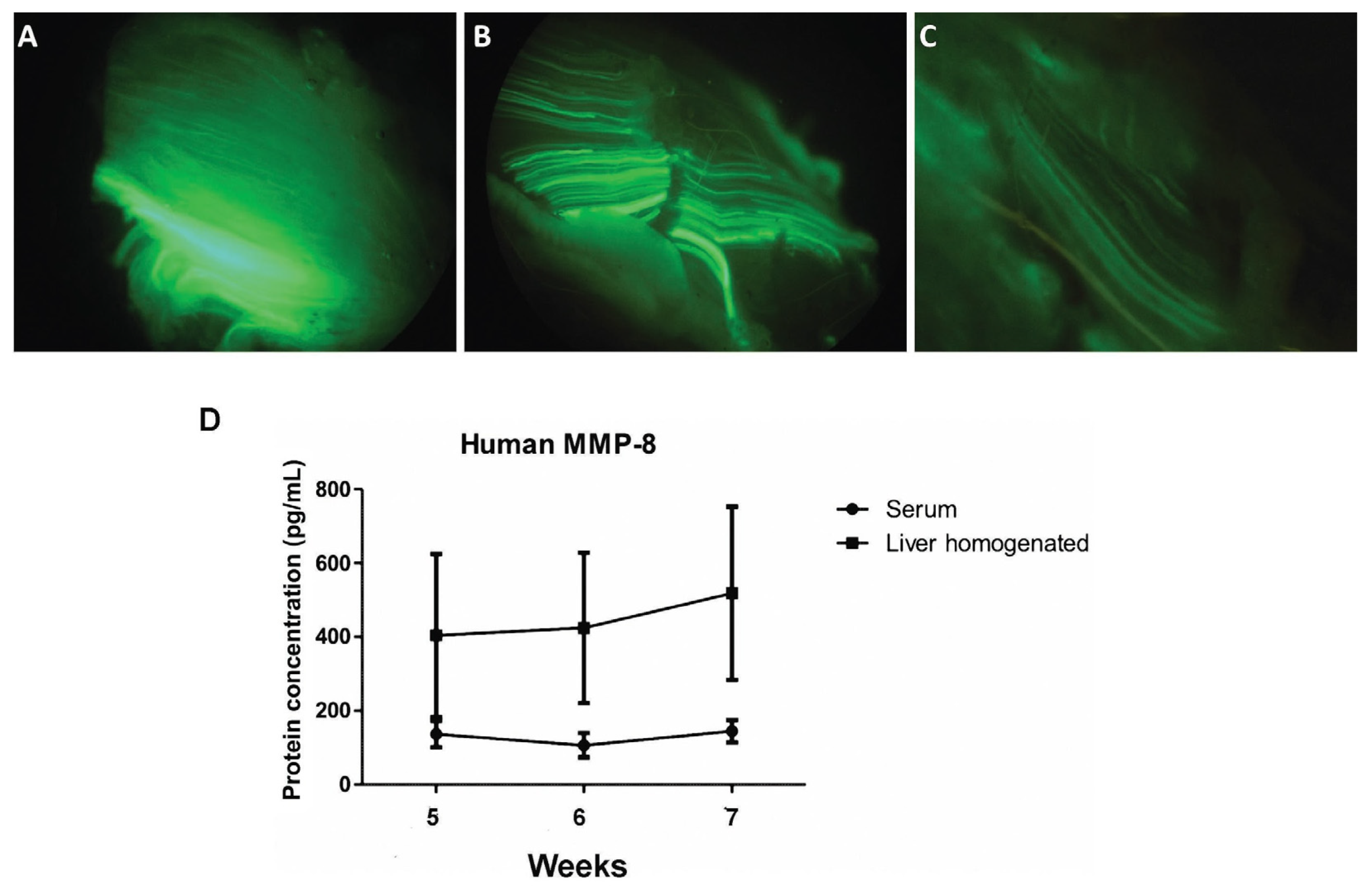 Cells 12 02127 g002 Cells 12 02127 g002