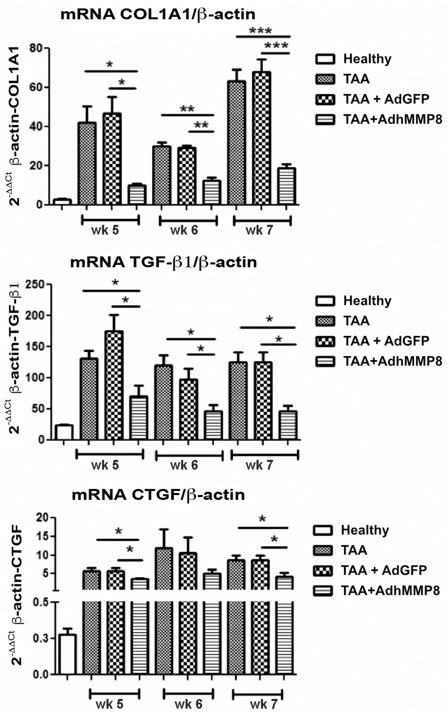 Cells 12 02127 g005 Cells 12 02127 g005