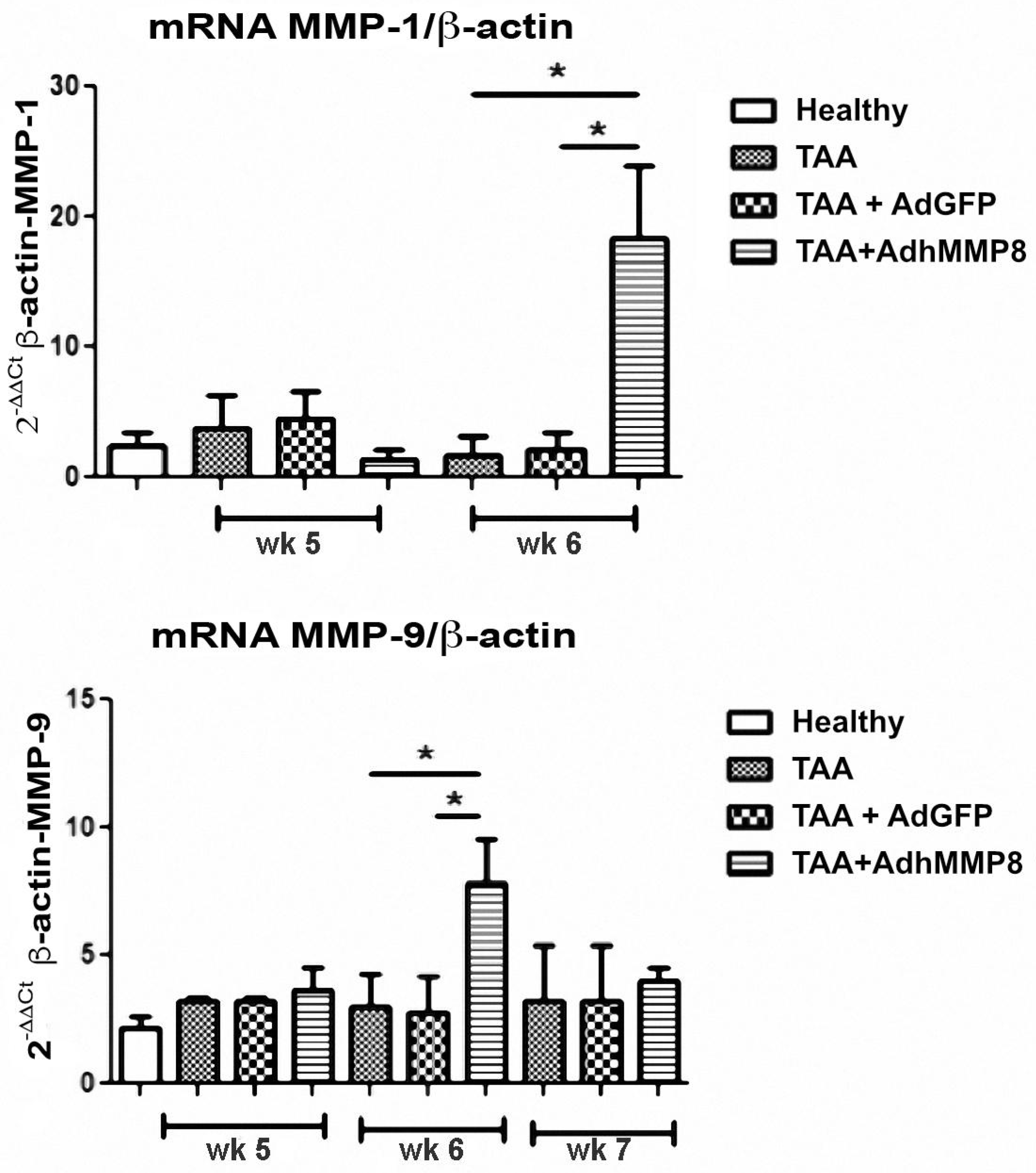 Cells 12 02127 g006 Cells 12 02127 g006