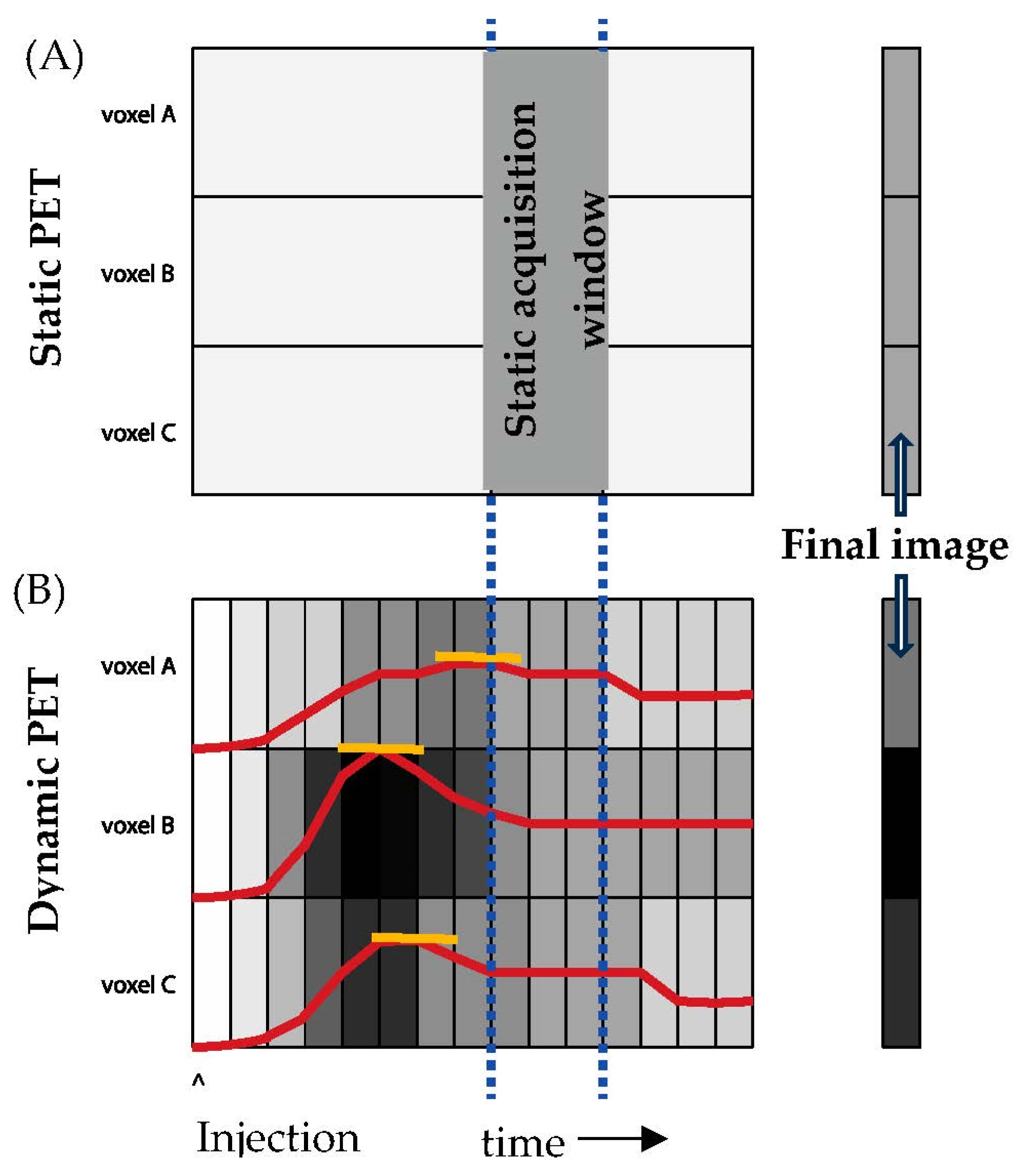 Cells 12 02128 g003 Cells 12 02128 g003