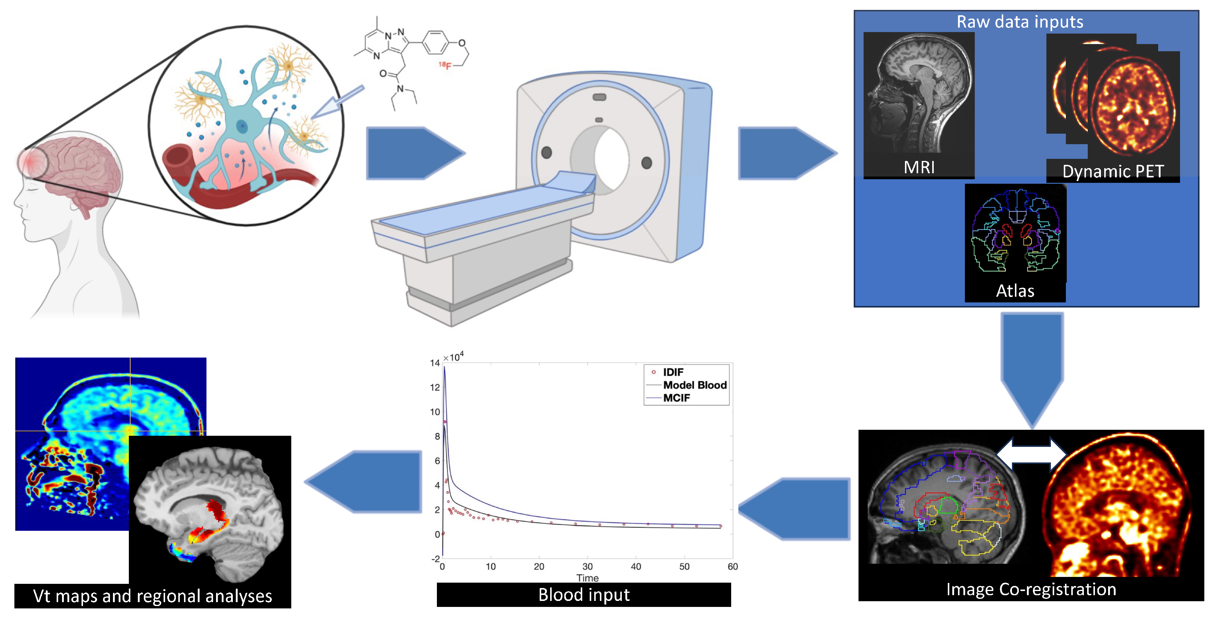 Cells 12 02128 sch001 Cells 12 02128 sch001