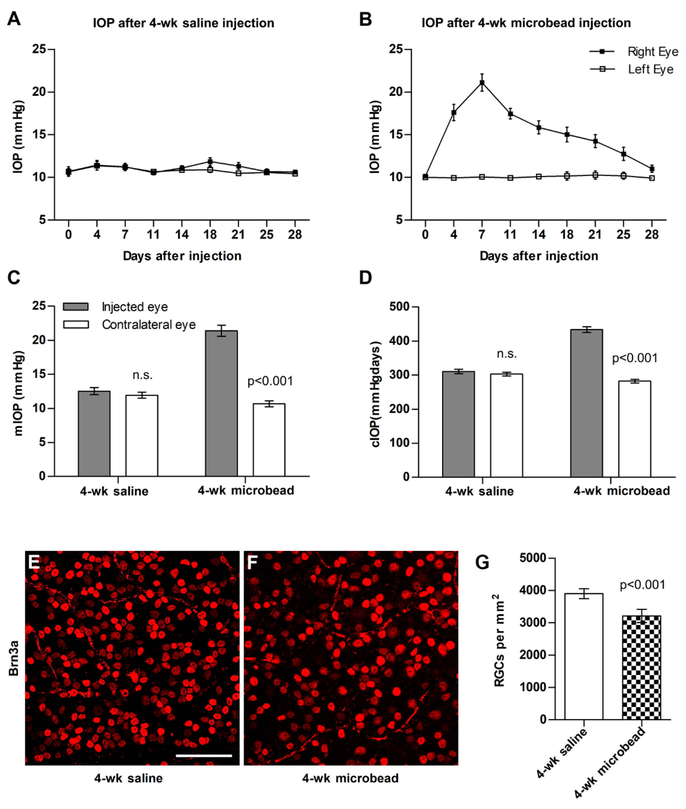 Cells 12 02131 g001 Cells 12 02131 g001