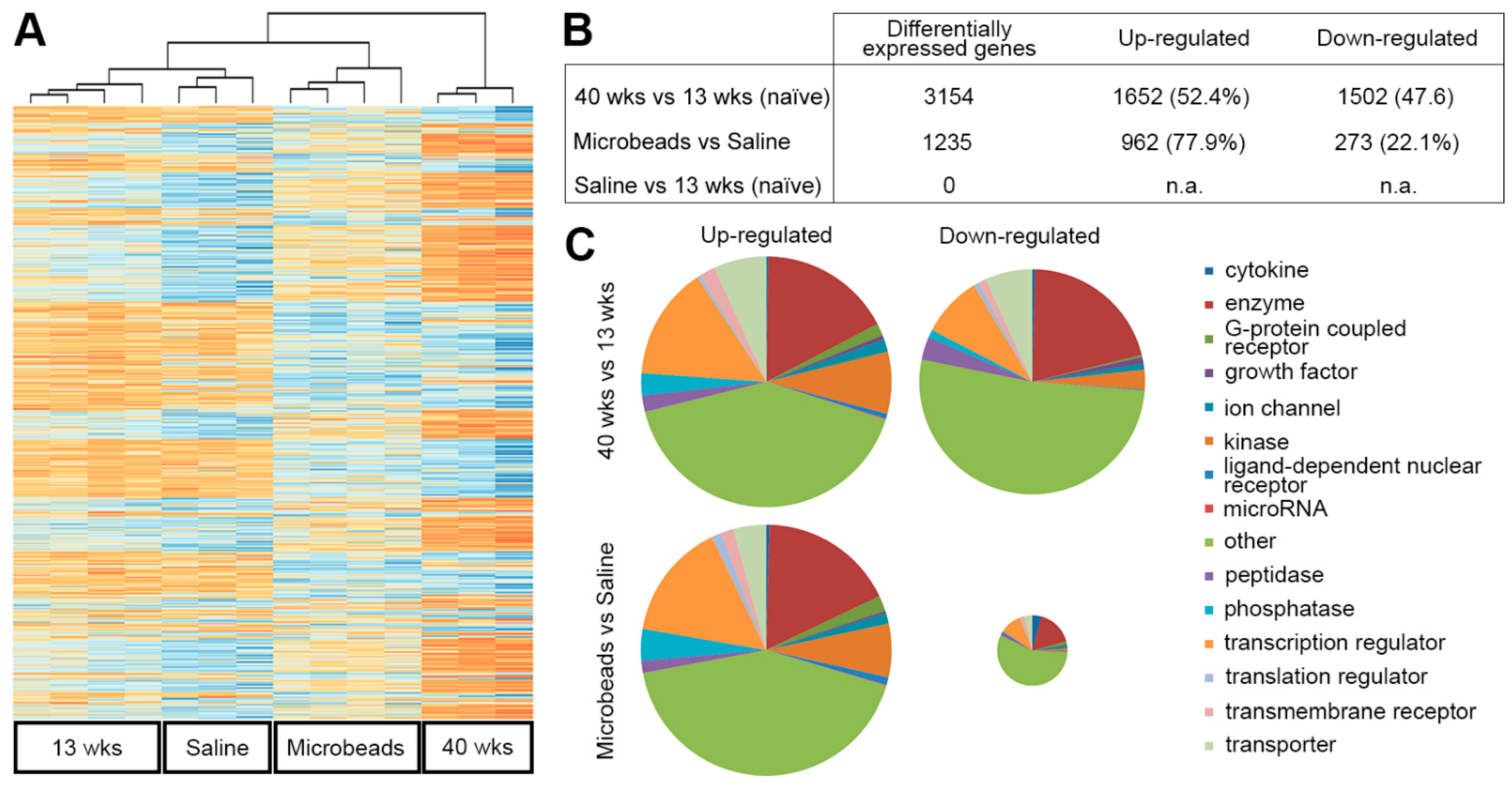 Cells 12 02131 g002 Cells 12 02131 g002
