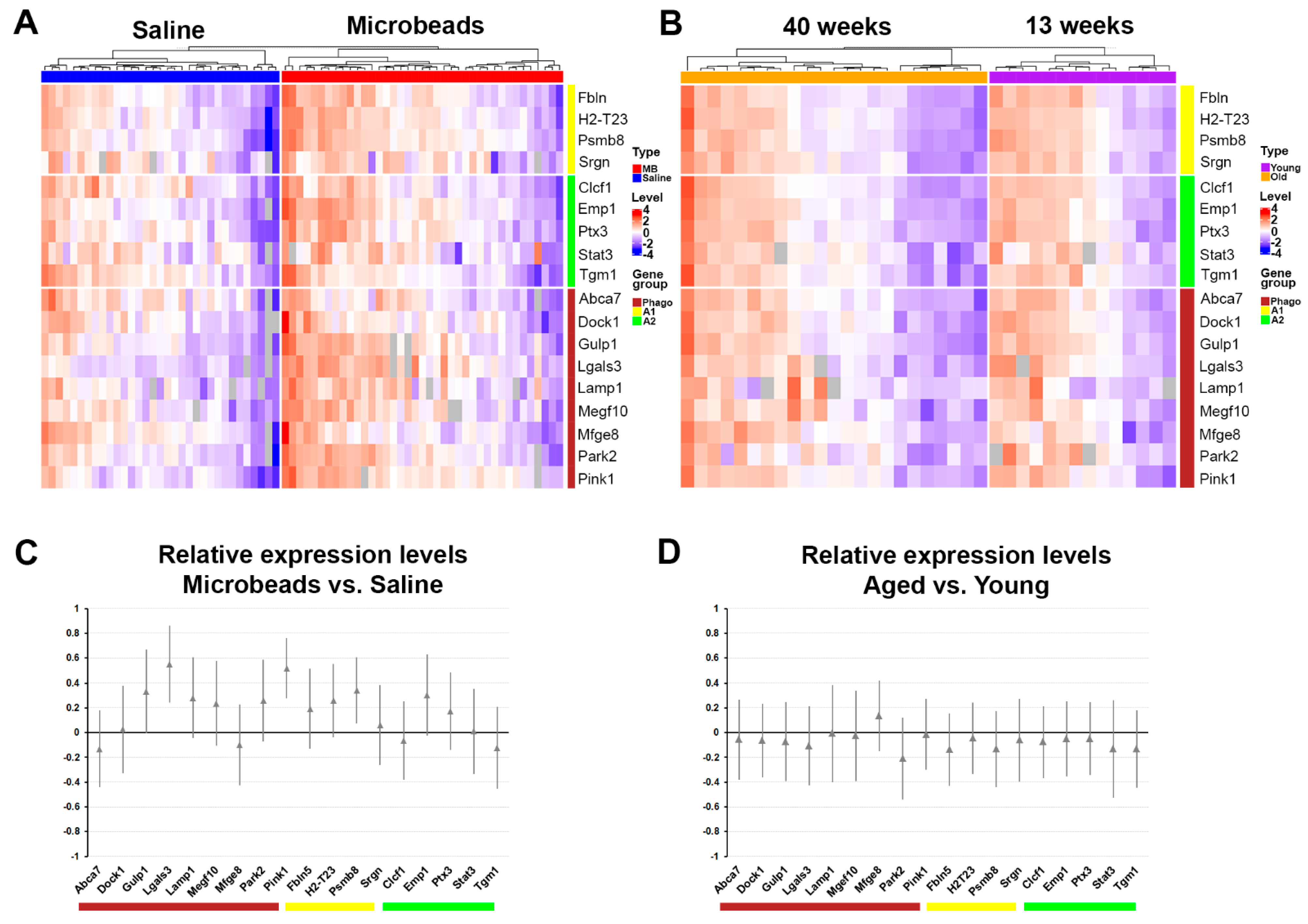 Cells 12 02131 g005 Cells 12 02131 g005