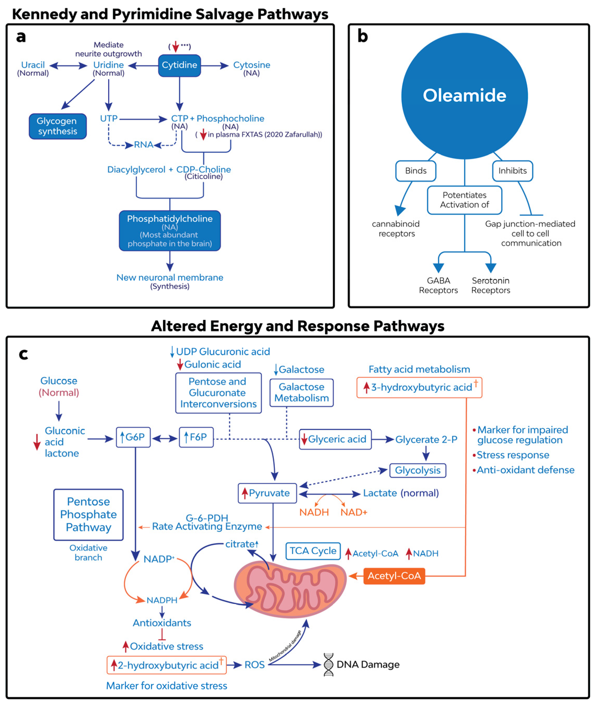 Cells 12 02132 g004 Cells 12 02132 g004