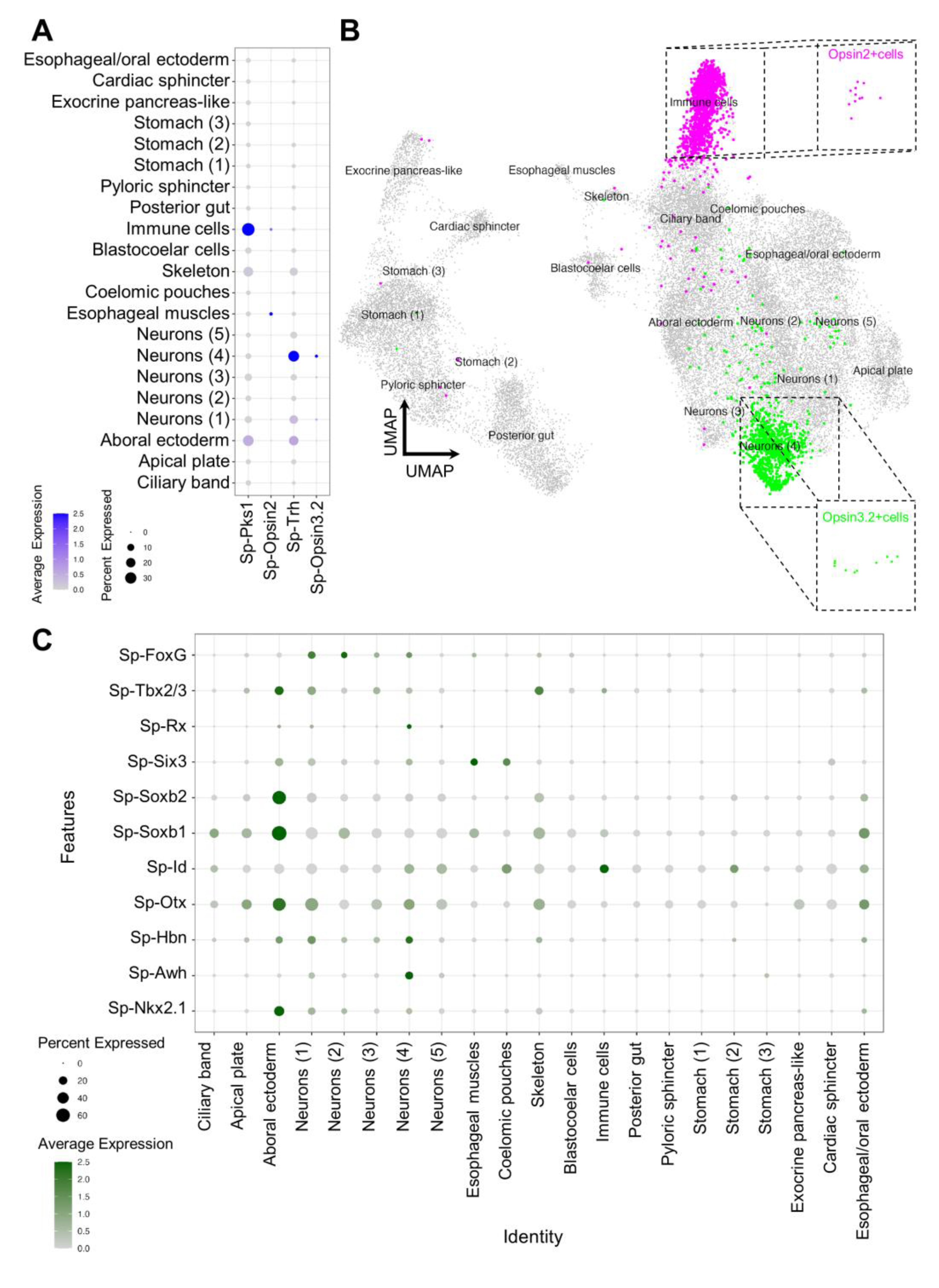 Cells 12 02134 g003 Cells 12 02134 g003