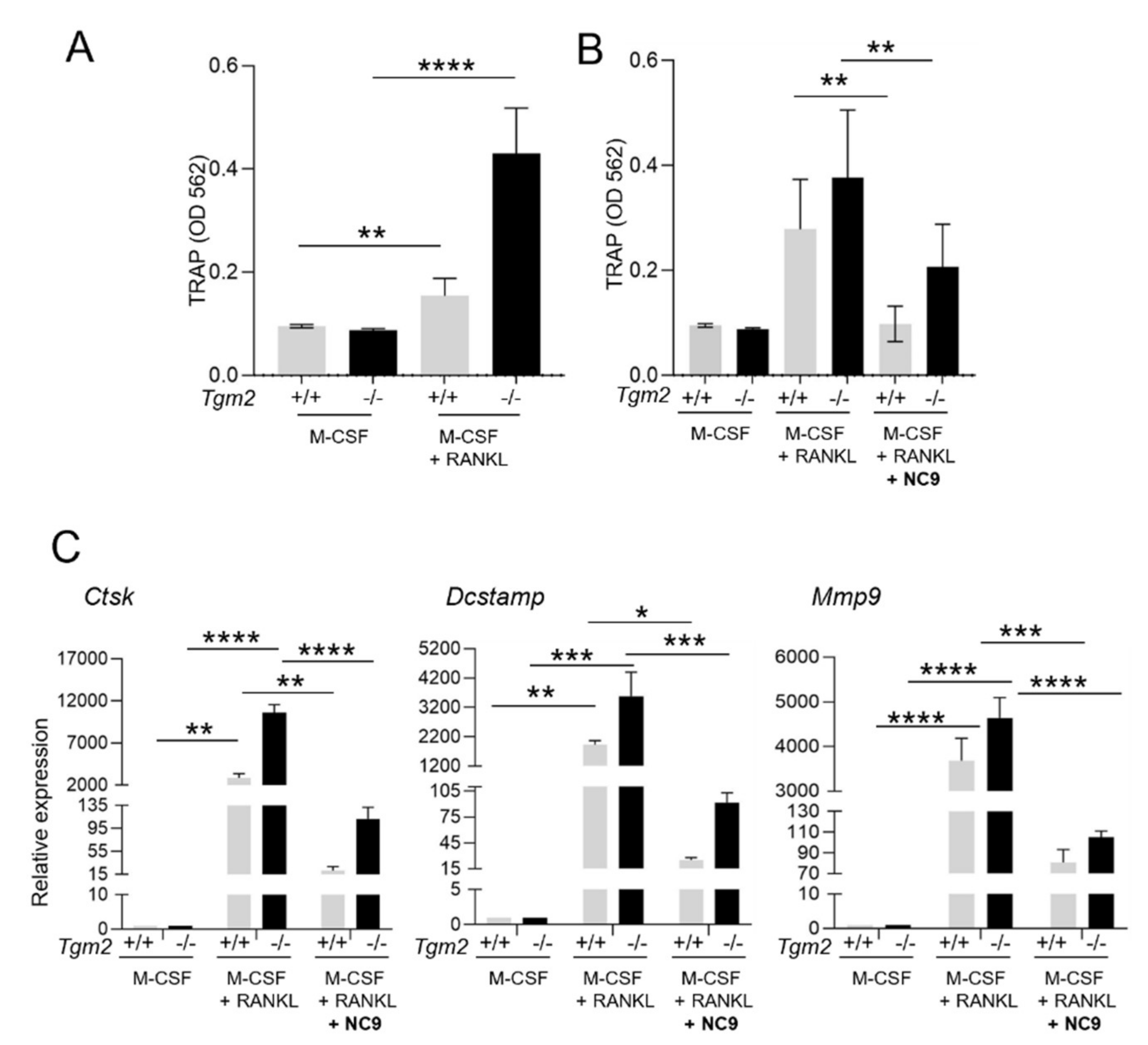 Cells 12 02139 g002 Cells 12 02139 g002