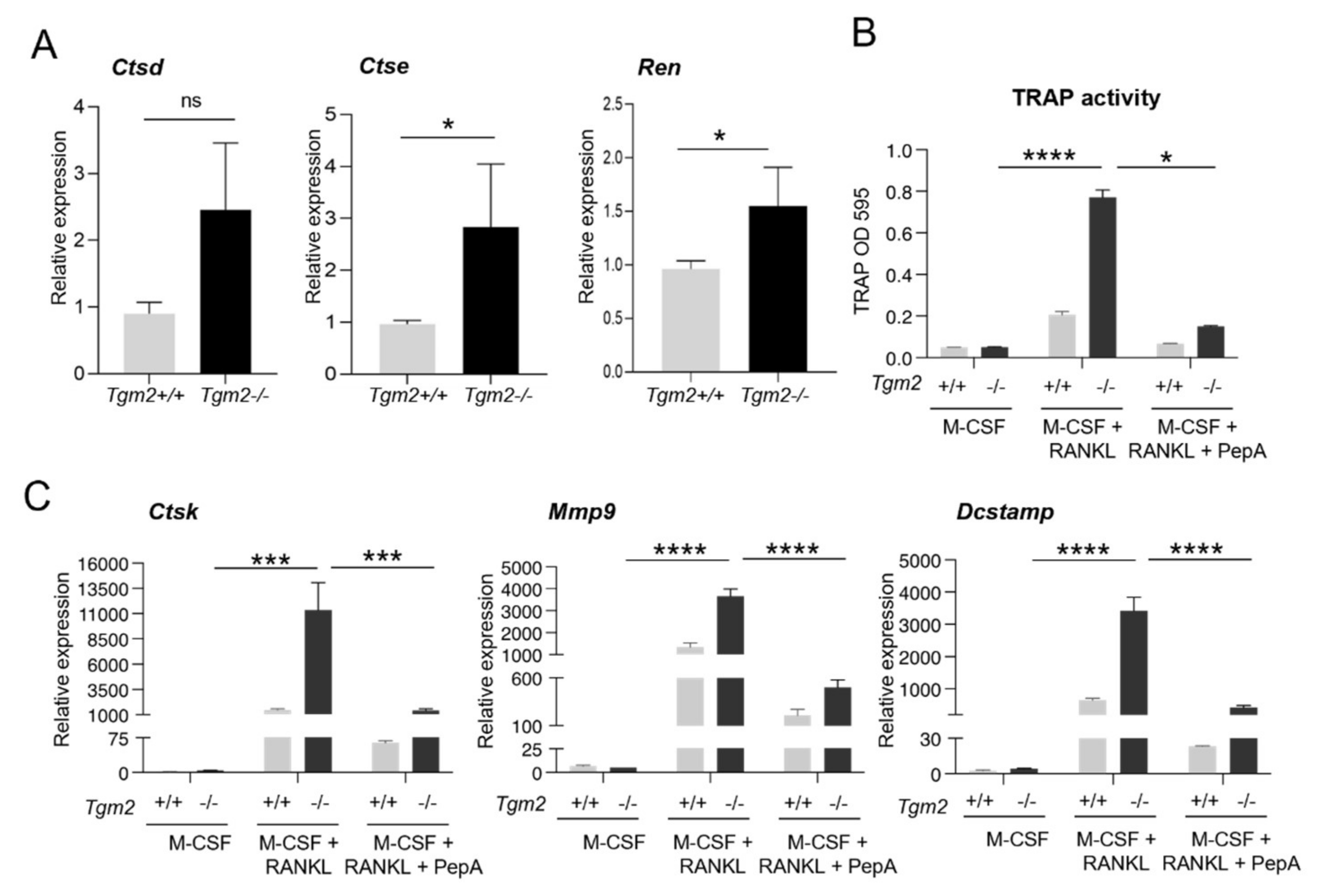 Cells 12 02139 g005 Cells 12 02139 g005