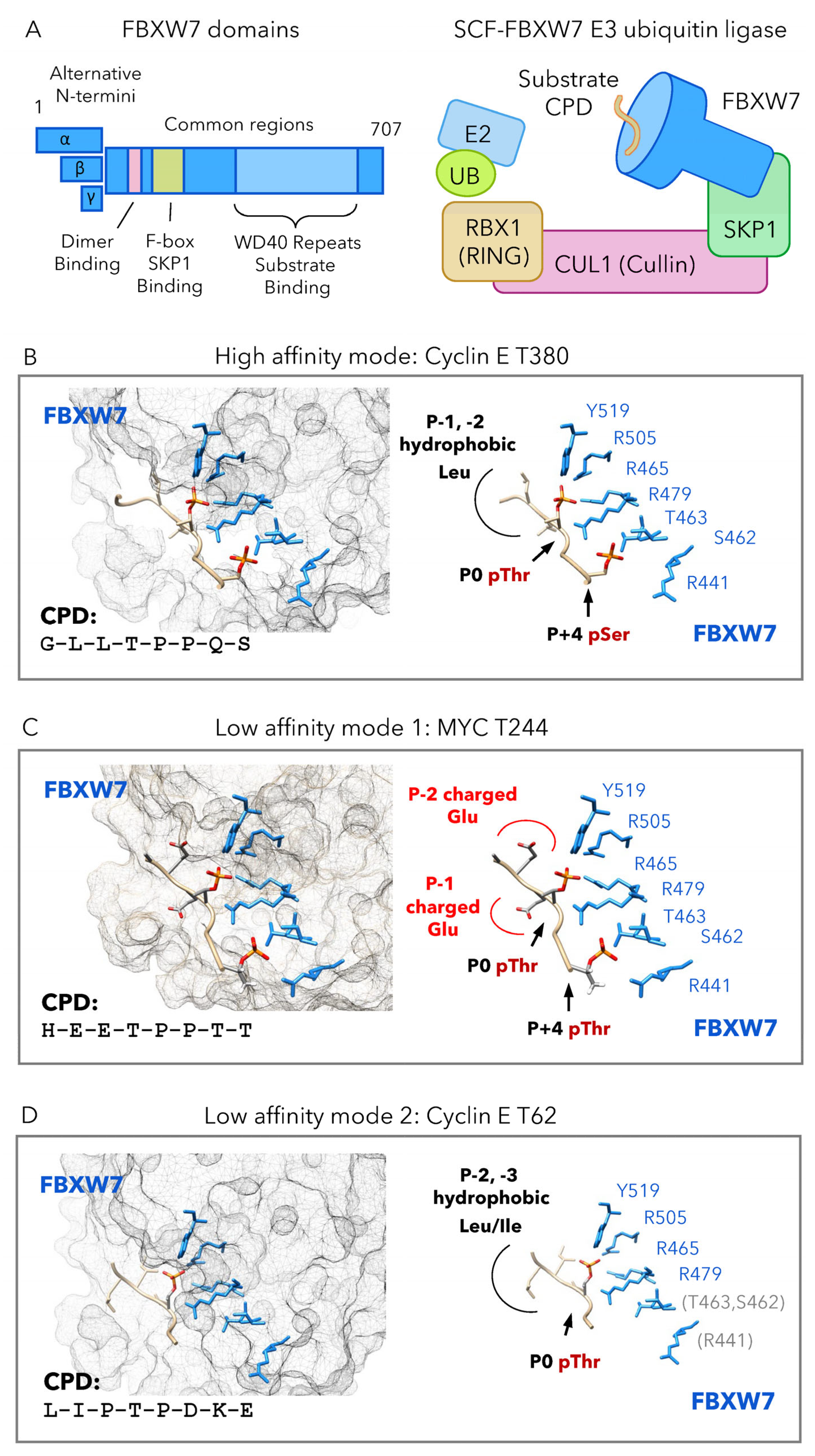 Cells 12 02141 g001 Cells 12 02141 g001