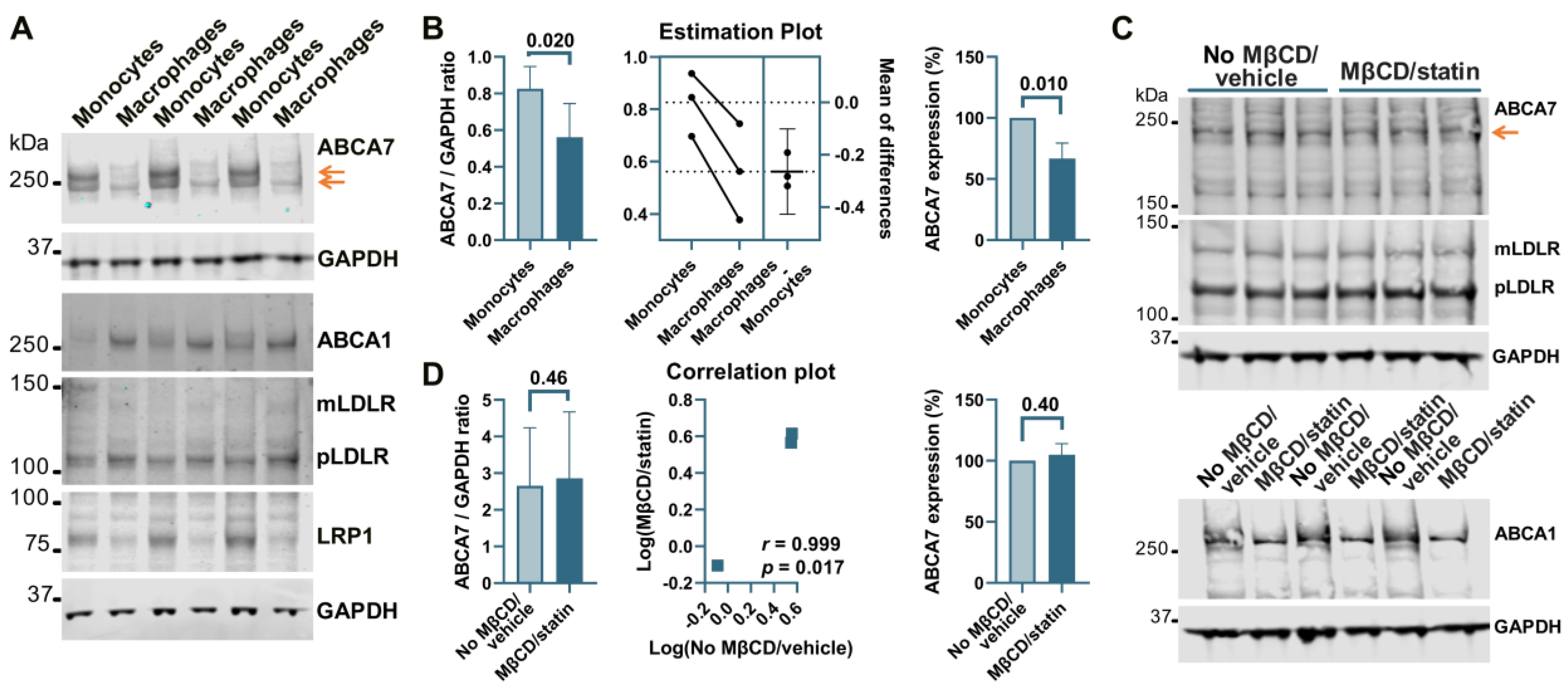 Cells 12 02143 g005 Cells 12 02143 g005
