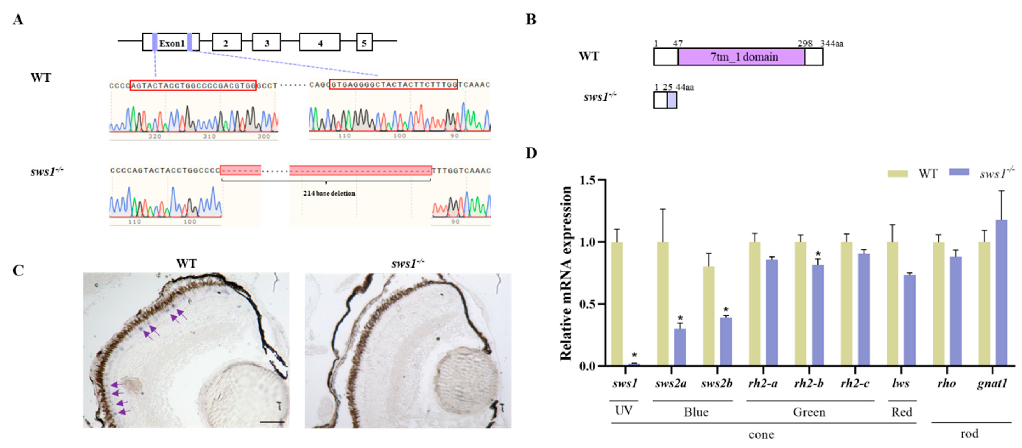 Cells 12 02157 g001 Cells 12 02157 g001