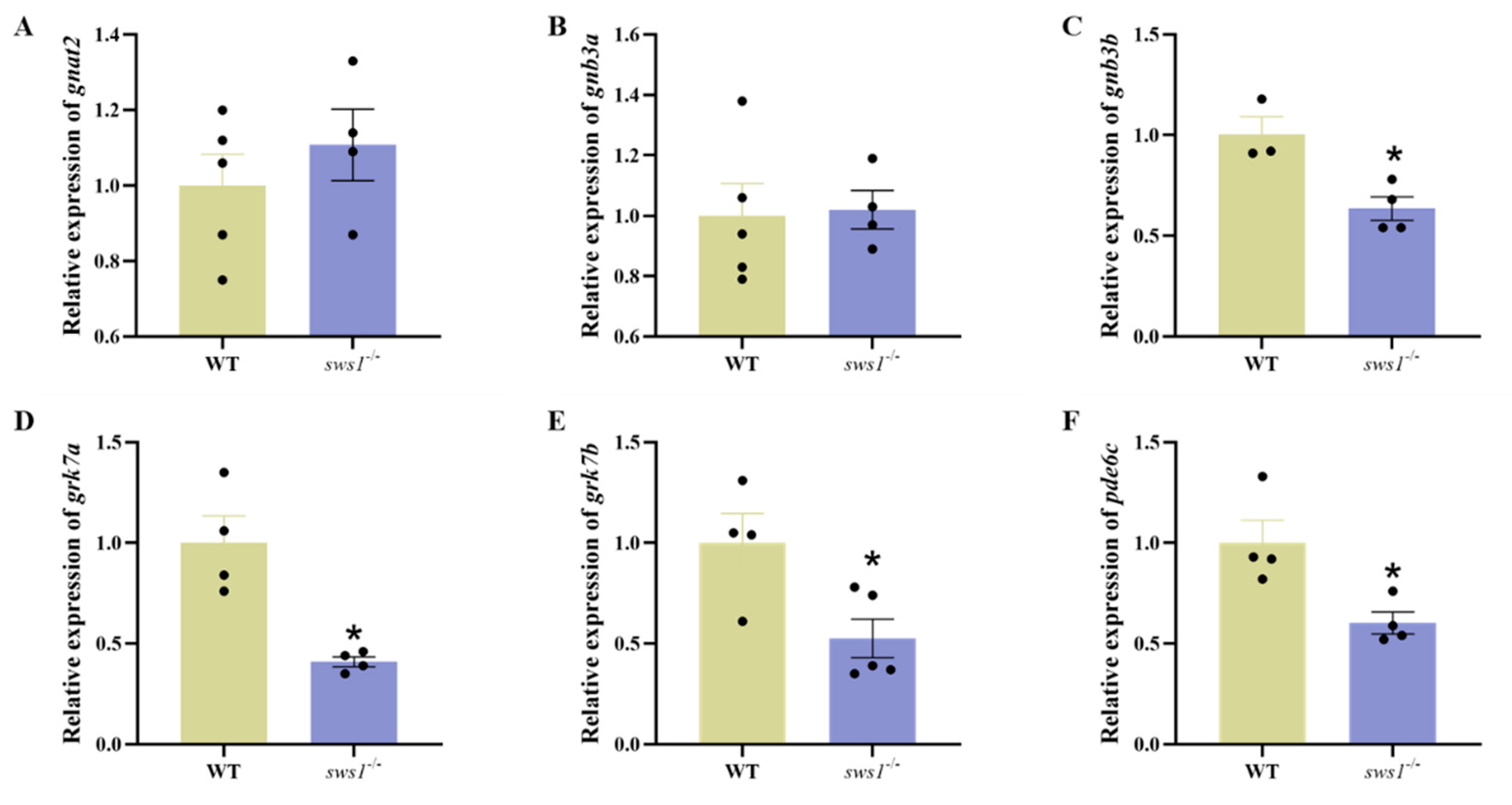 Cells 12 02157 g004 Cells 12 02157 g004