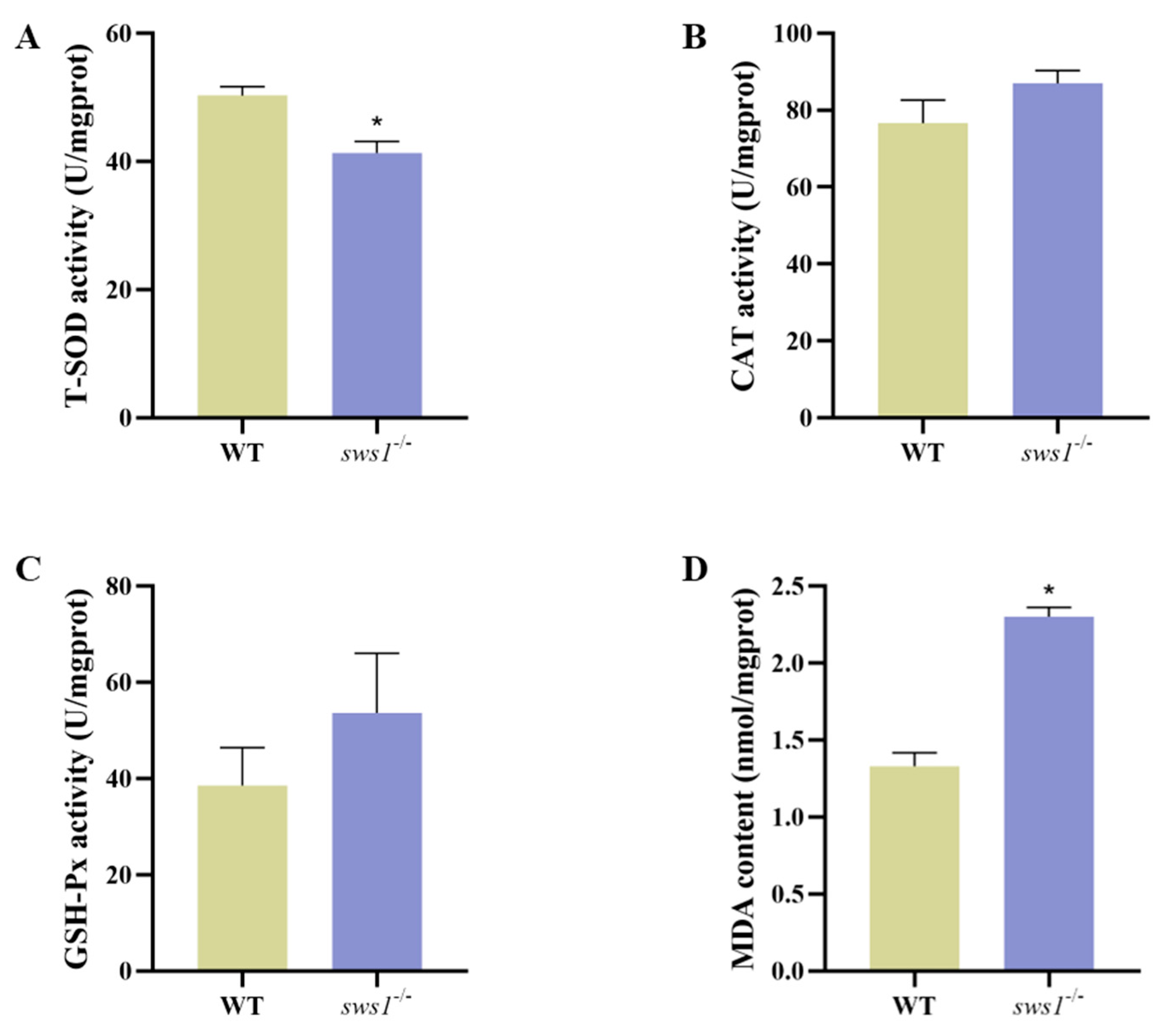 Cells 12 02157 g006 Cells 12 02157 g006