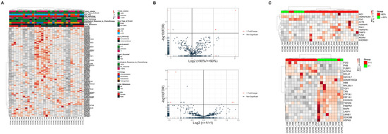 Comparative Shotgun Proteomics Reveals the Characteristic Protein ...