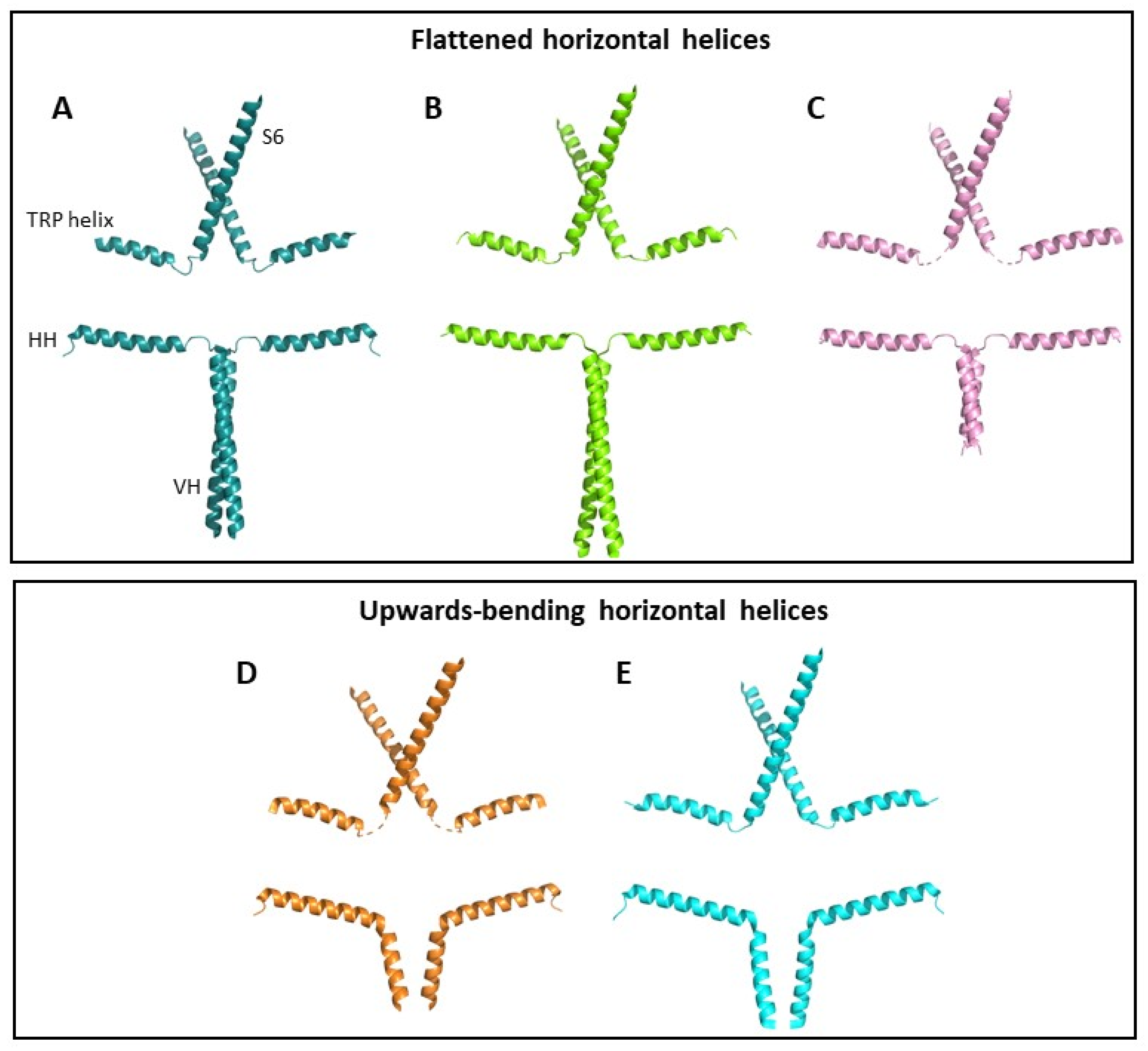 Cells 12 02215 g002 Cells 12 02215 g002
