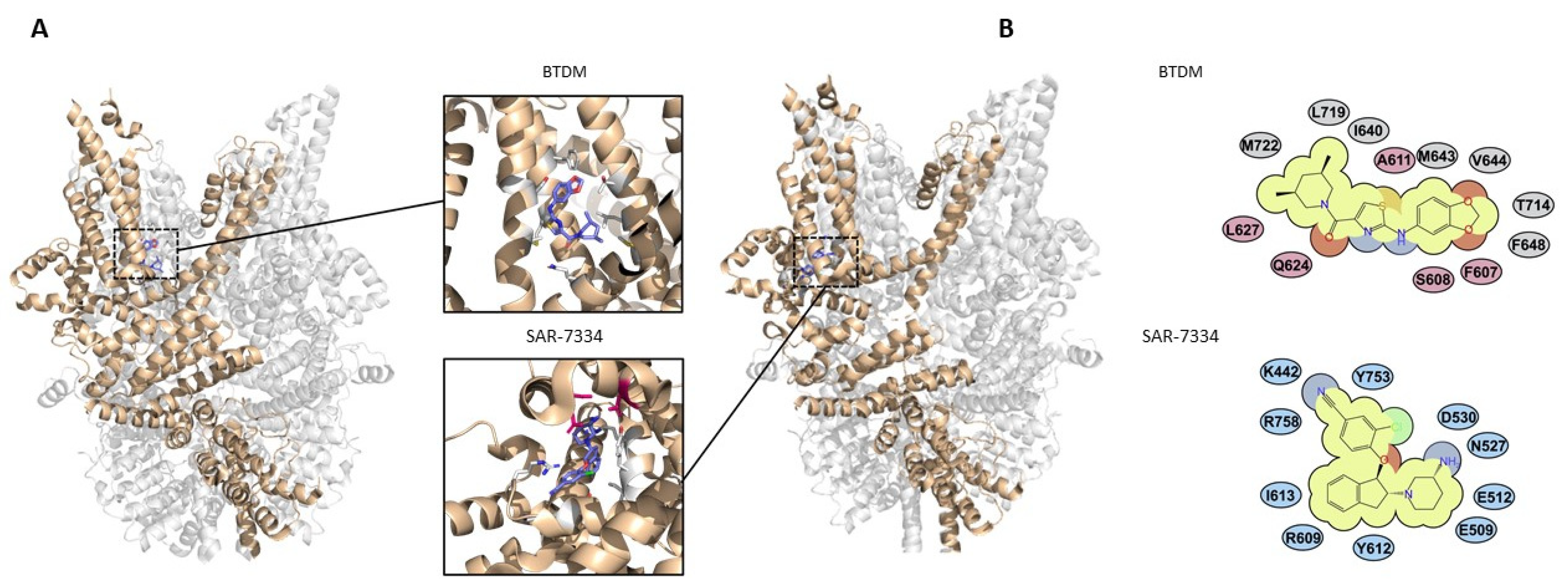 Cells 12 02215 g004 Cells 12 02215 g004