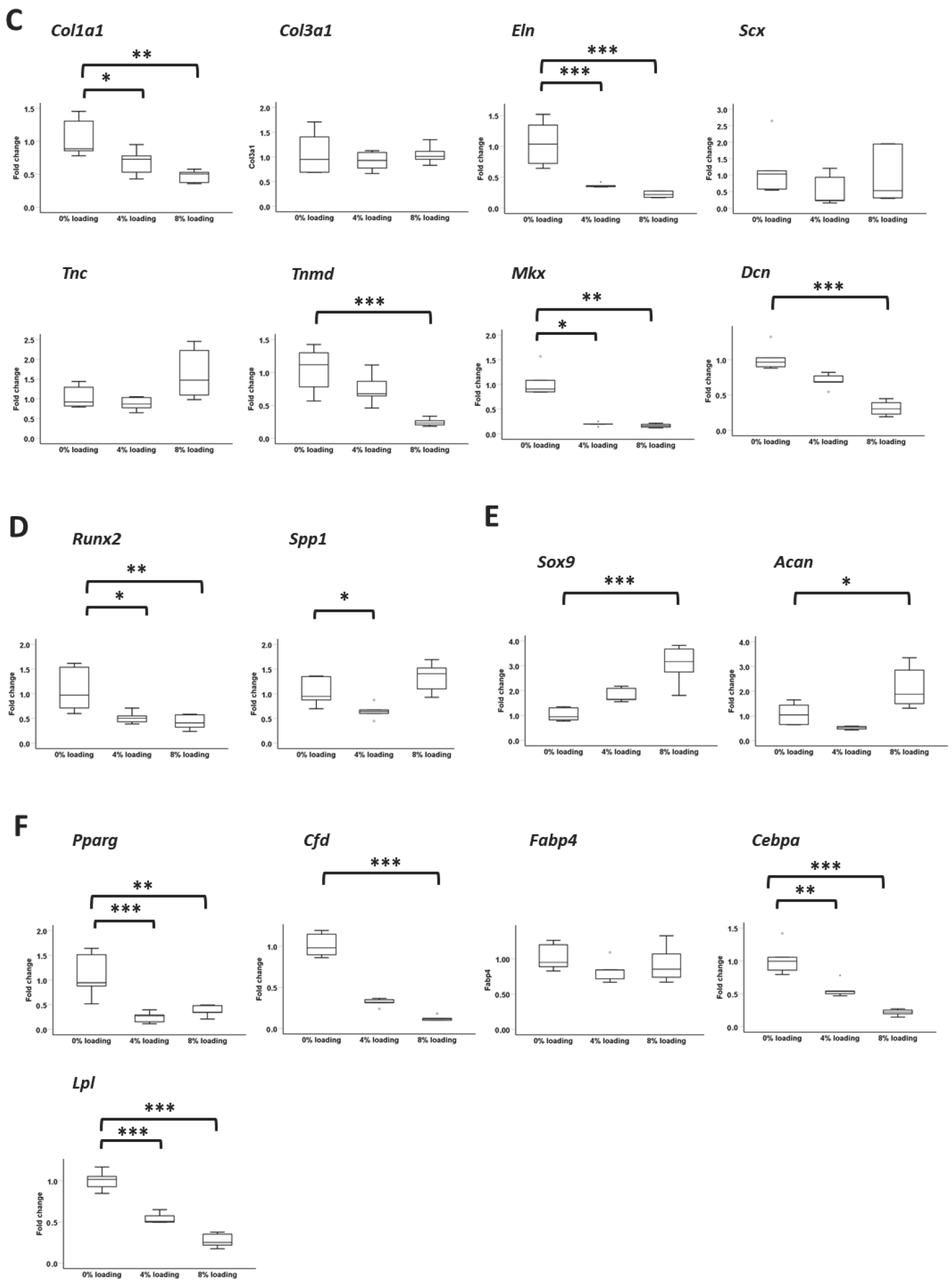 Cells 12 02222 g009b