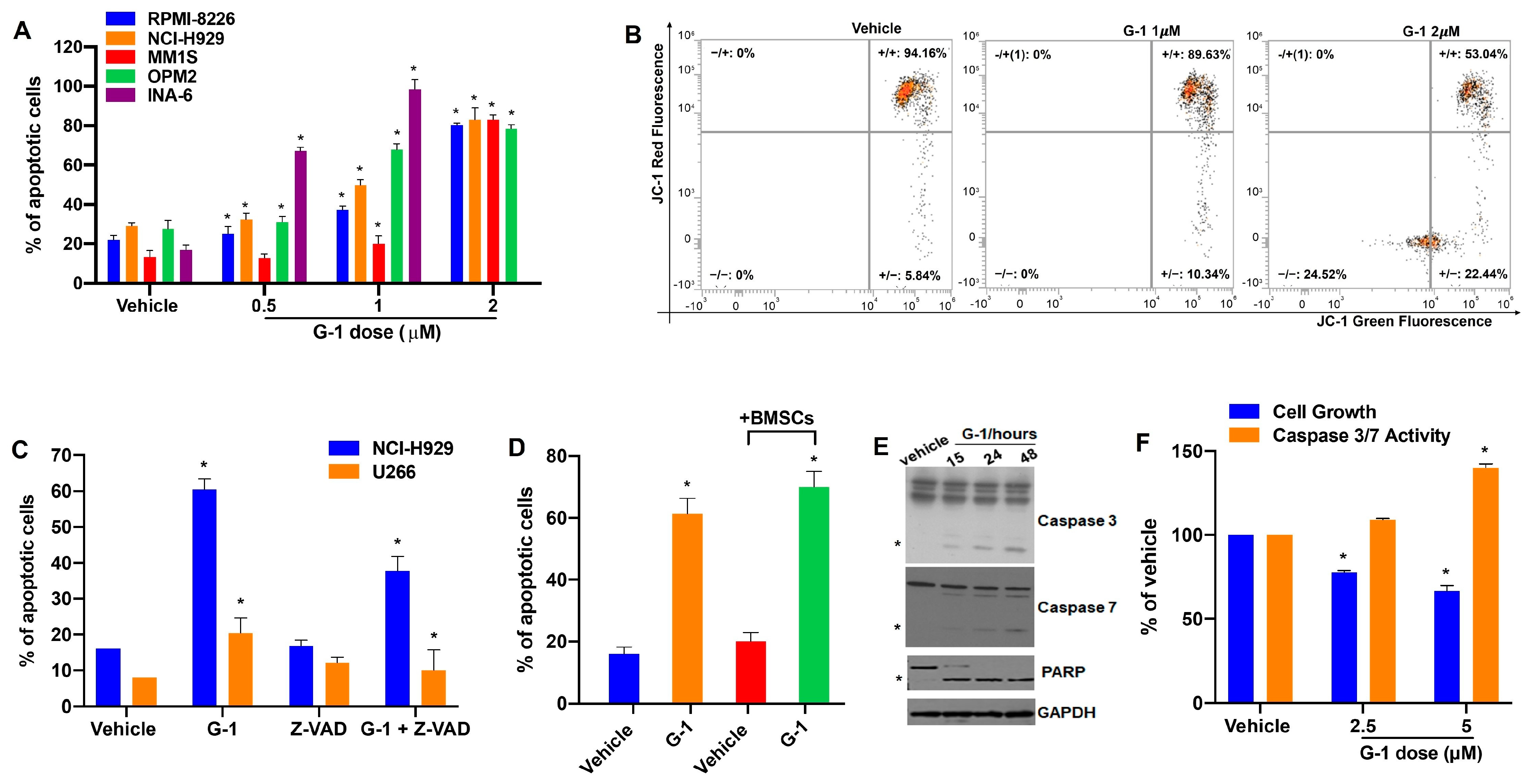 Cells 12 02226 g003 Cells 12 02226 g003