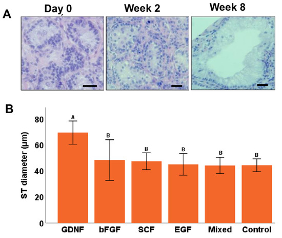 Cells | Free Full-Text | Effects of Growth Factors on In Vitro Cells | Free Full-Text | Effects of Growth Factors on In Vitro