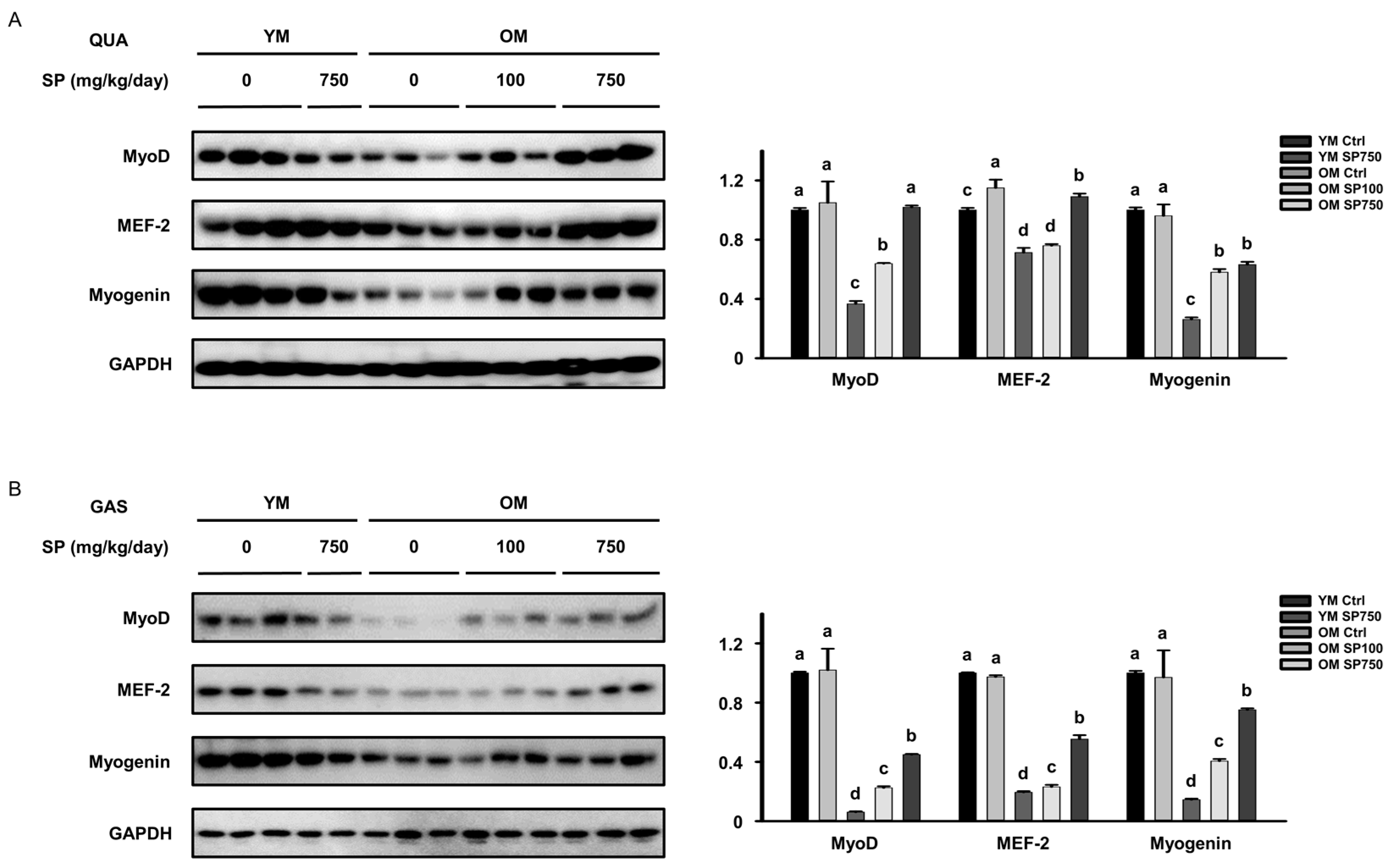 Cells 12 02257 g004