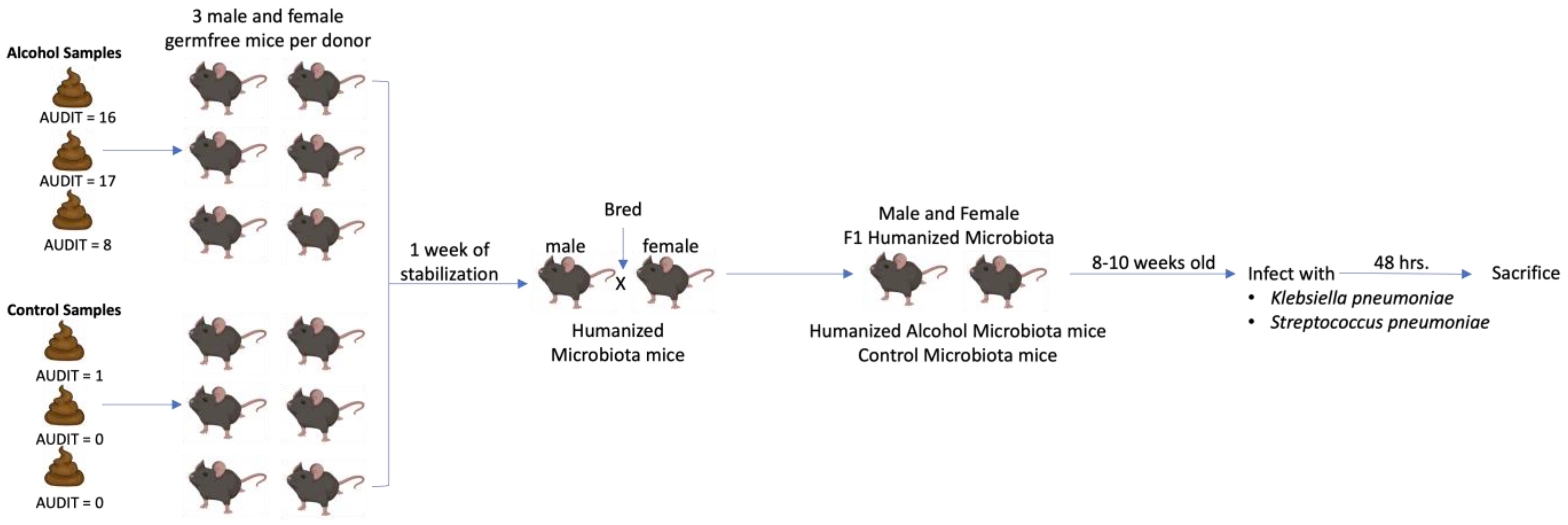 Cells 12 02267 g001 Cells 12 02267 g001