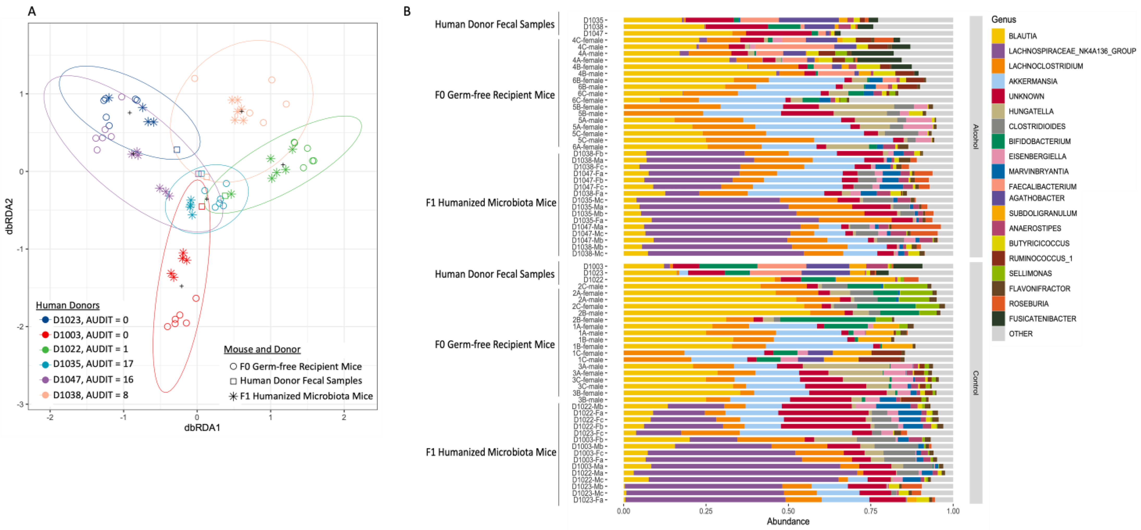 Cells 12 02267 g002 Cells 12 02267 g002