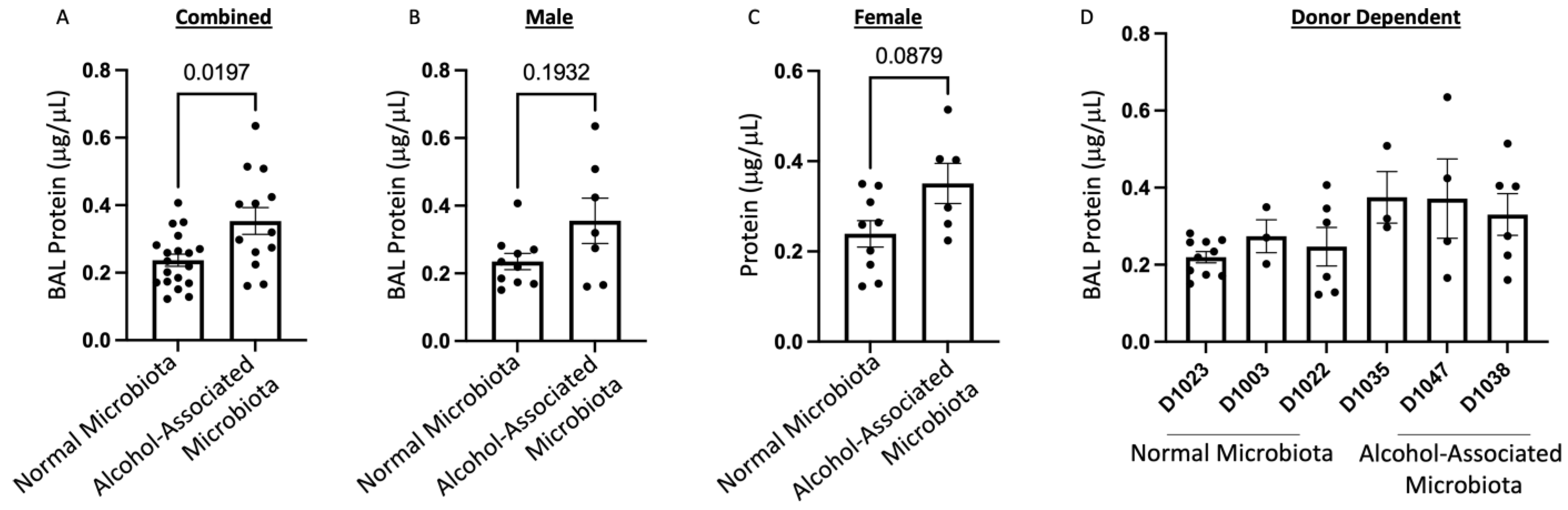 Cells 12 02267 g008 Cells 12 02267 g008