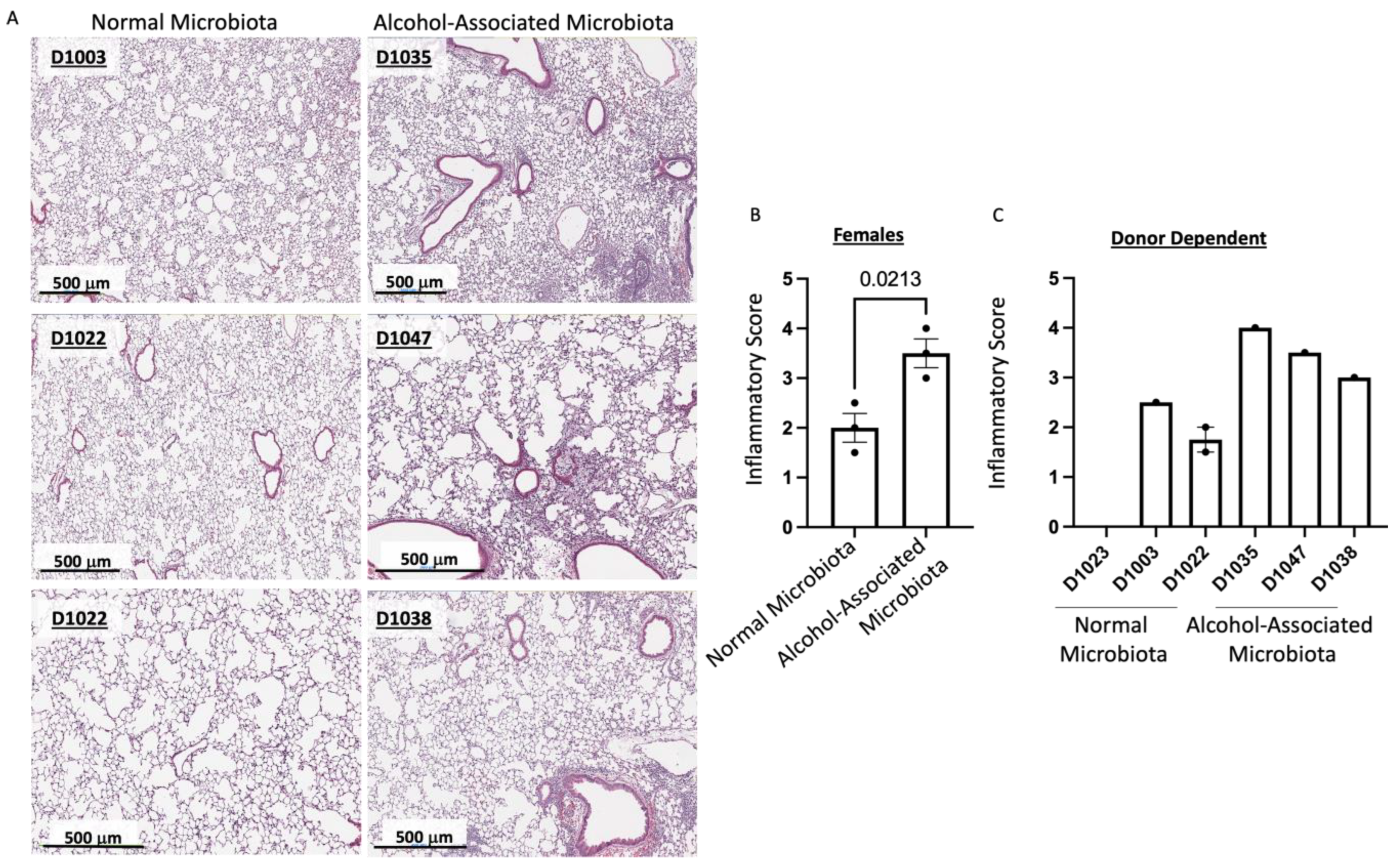 Cells 12 02267 g013 Cells 12 02267 g013