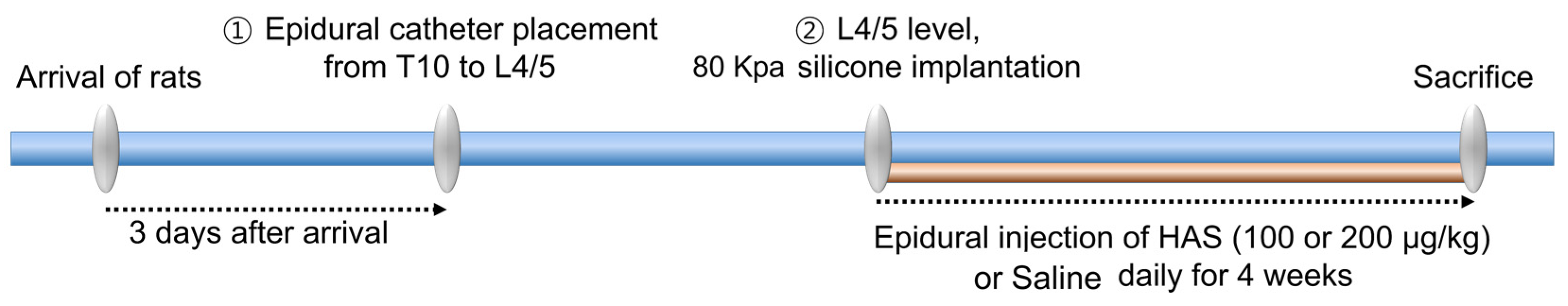 Cells 12 02281 sch001