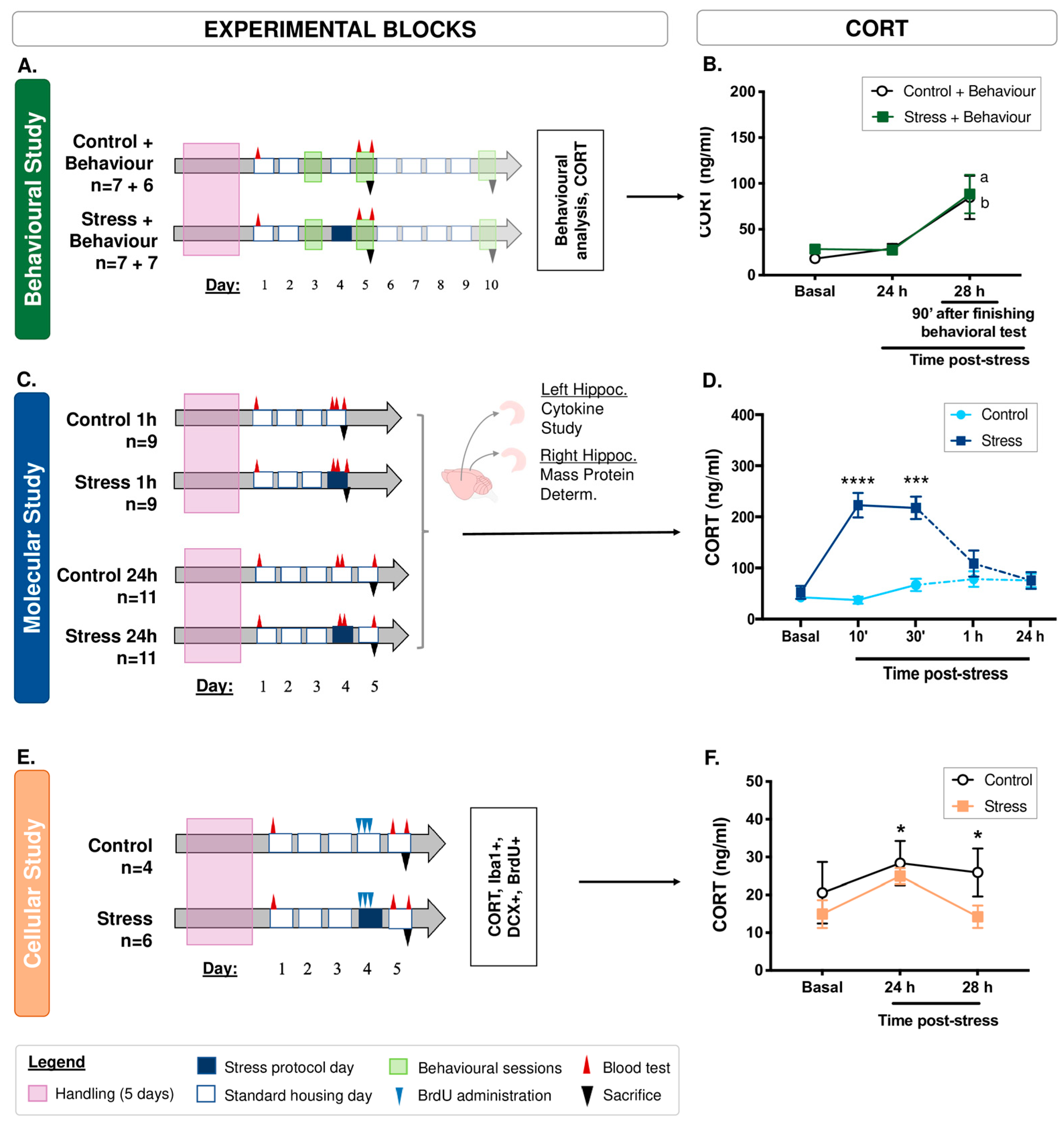 Cells 12 02290 g001 Cells 12 02290 g001