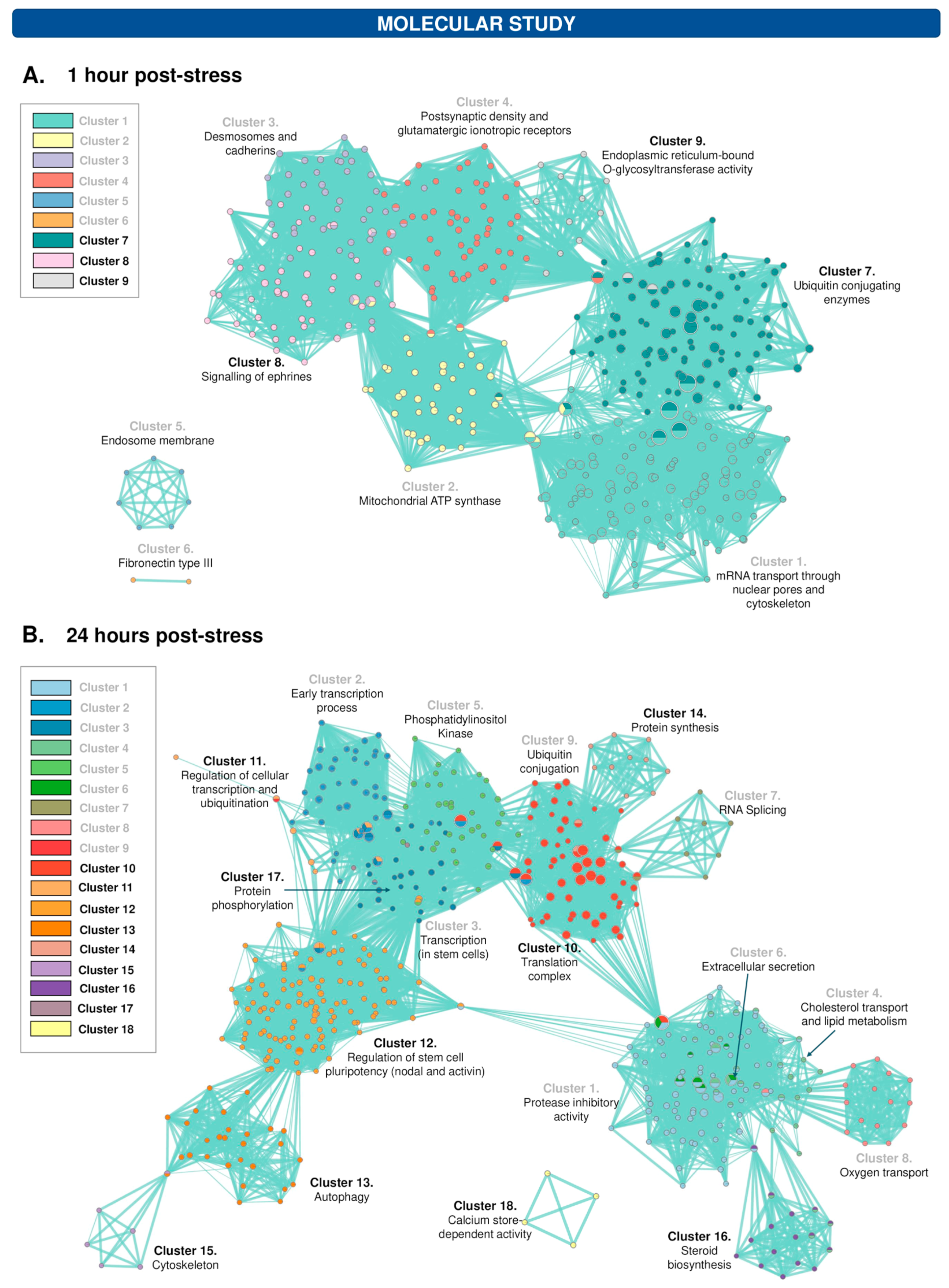 Cells 12 02290 g004 Cells 12 02290 g004