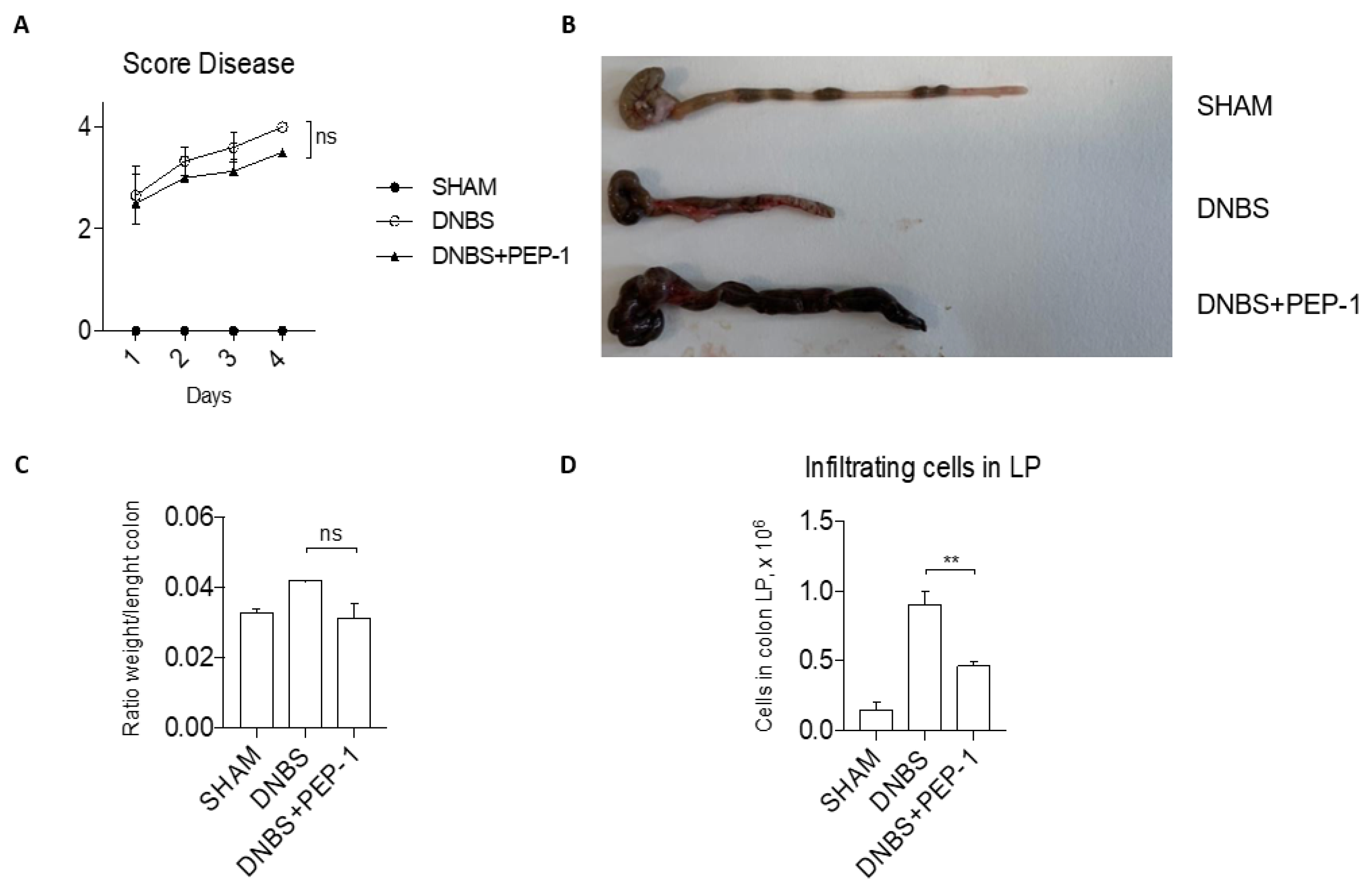 Cells 12 02294 g009 Cells 12 02294 g009