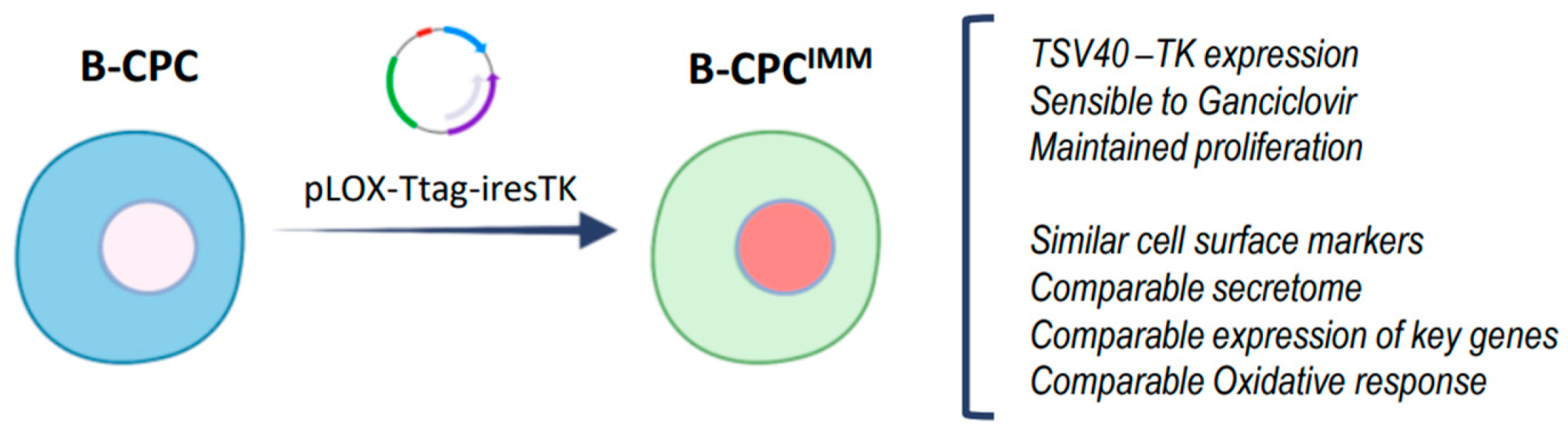 Cells 12 02300 g001 Cells 12 02300 g001