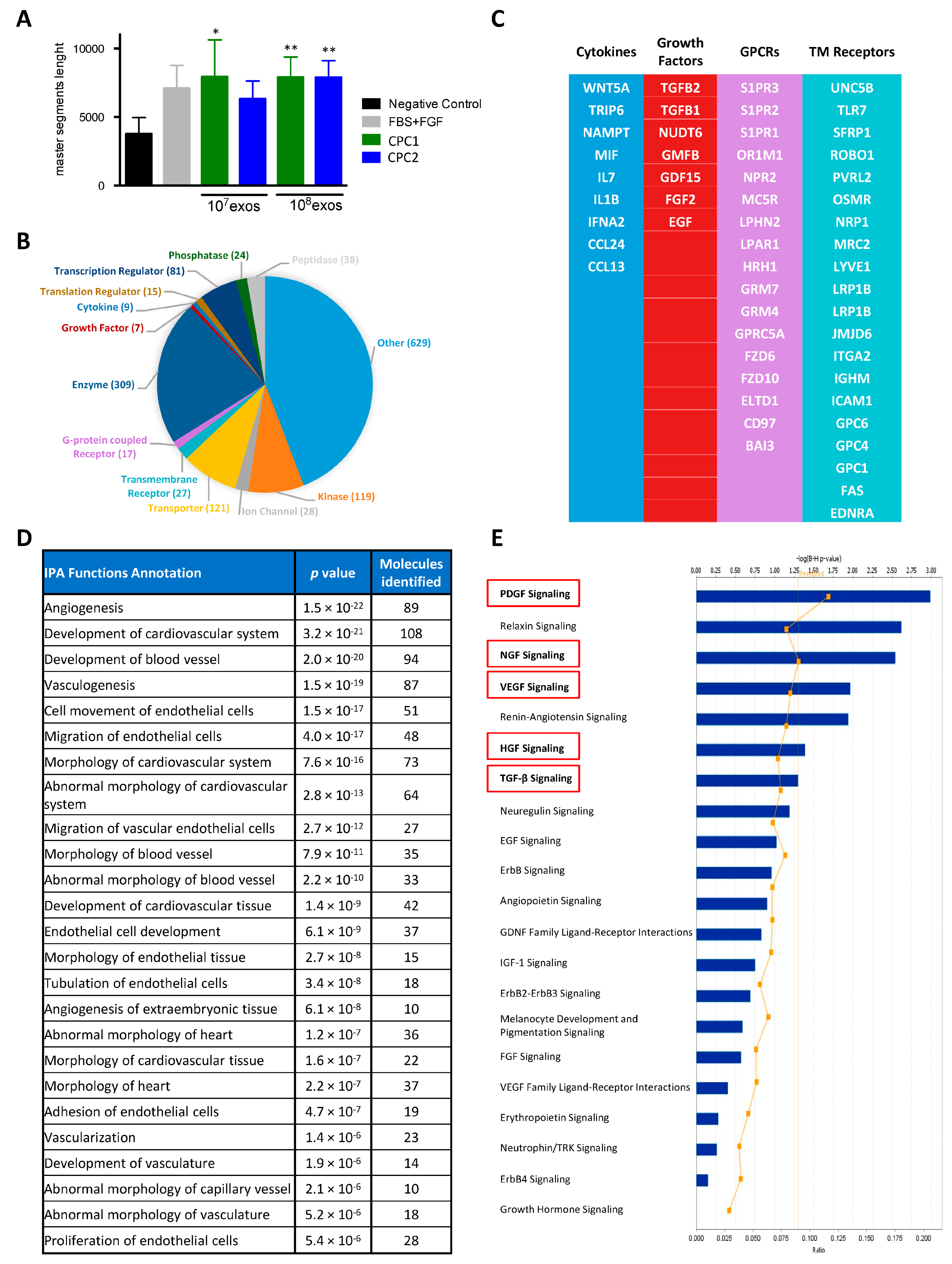 Cells 12 02300 g003 Cells 12 02300 g003