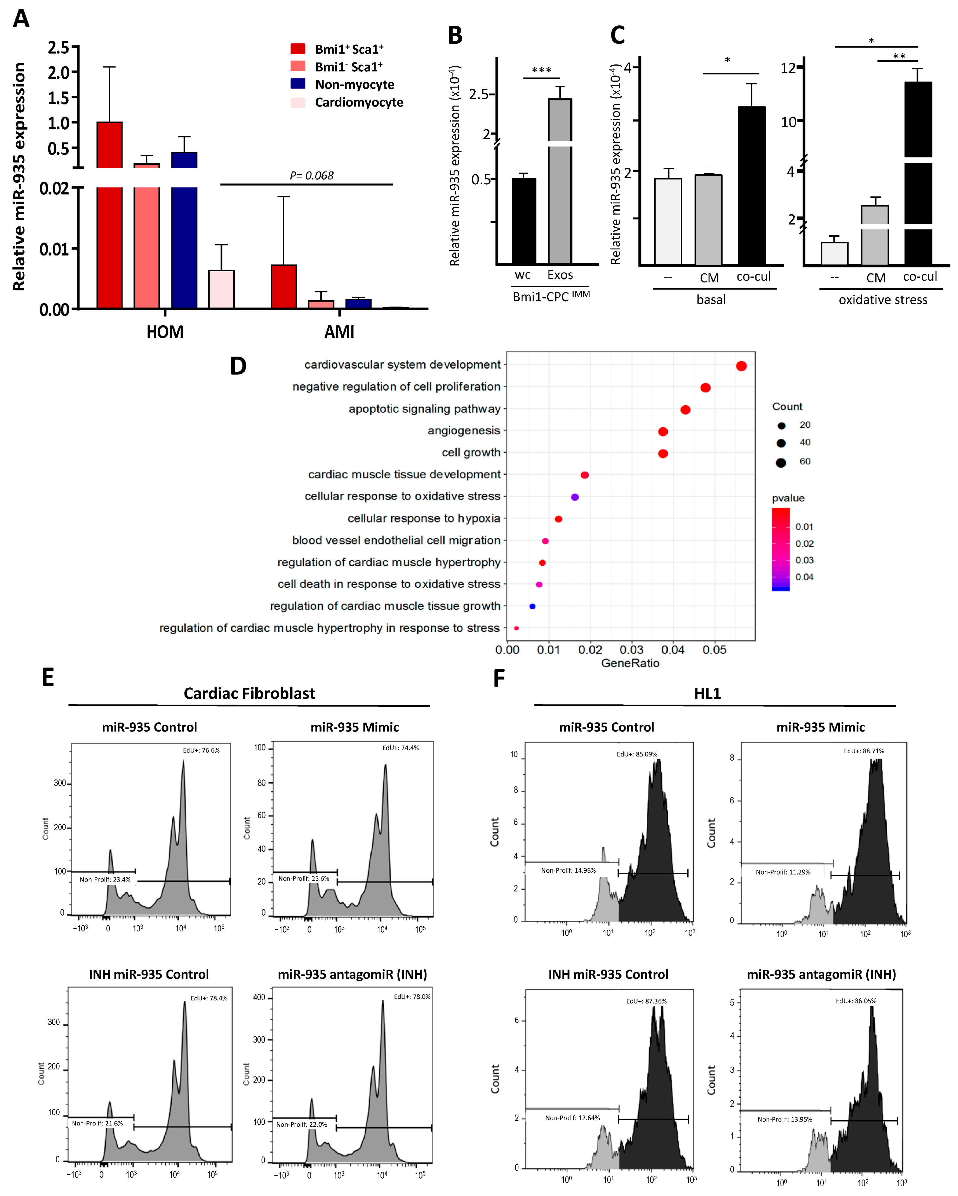 Cells 12 02300 g006 Cells 12 02300 g006