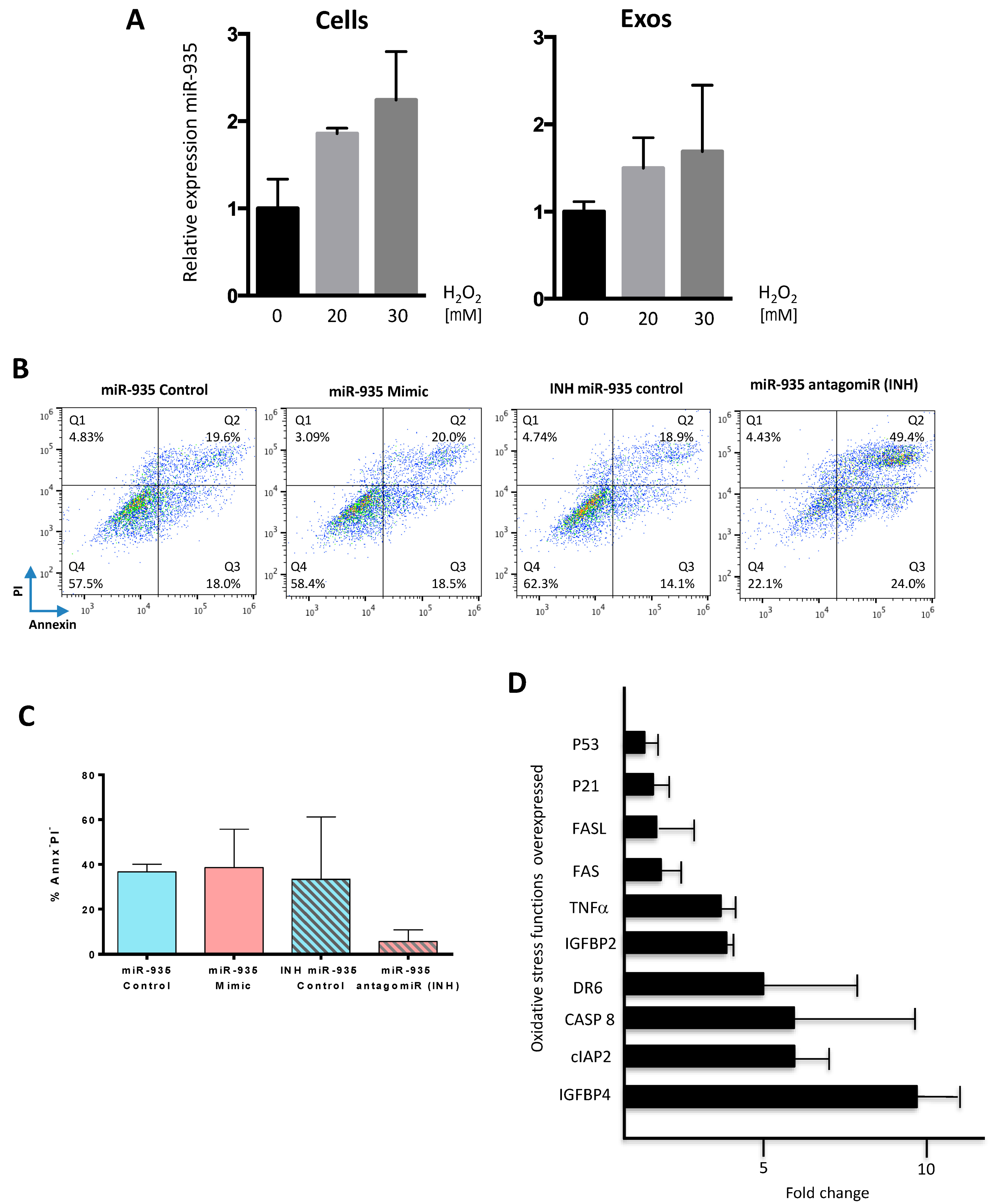 Cells 12 02300 g007 Cells 12 02300 g007