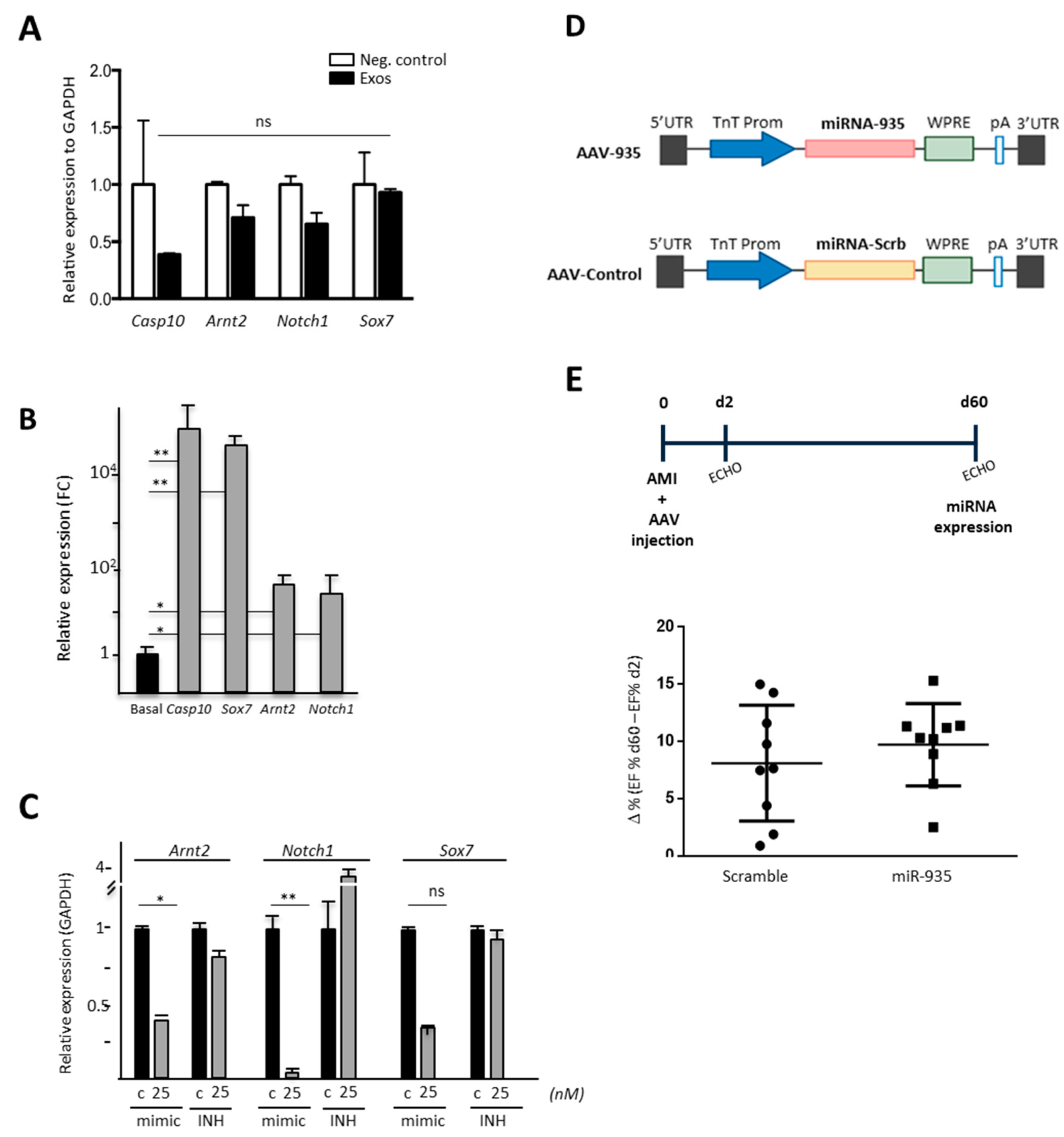 Cells 12 02300 g008 Cells 12 02300 g008