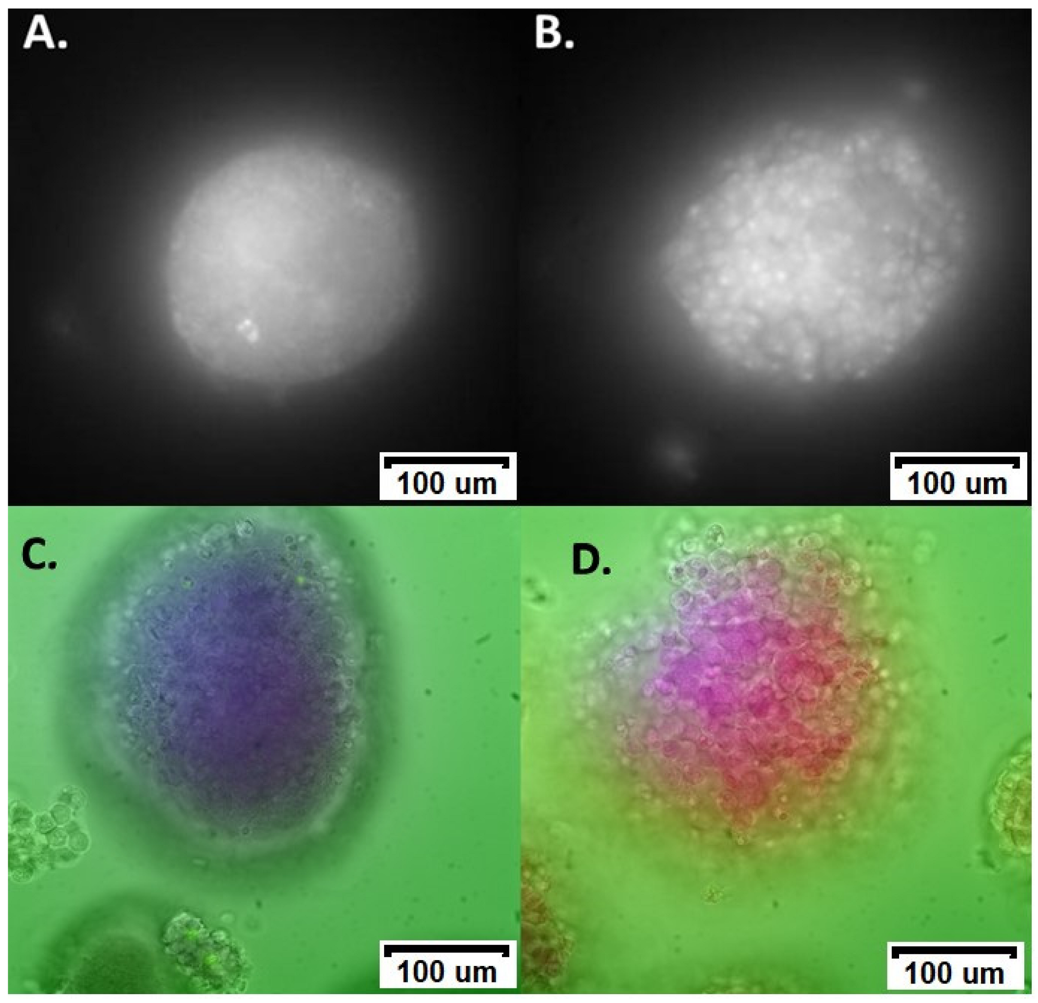 Cells 12 02302 g001 Cells 12 02302 g001